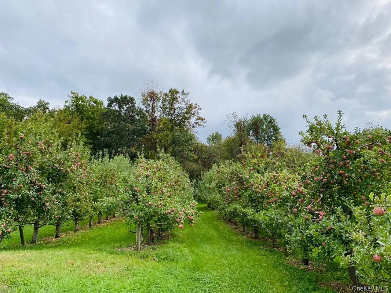 223 Plattekill Road, Marlboro, NY, 3 Bedrooms Bedrooms, 6 Rooms Rooms,2 BathroomsBathrooms,Residential,For Rent,Plattekill,0,975598 223 Plattekill Road, Marlboro, NY, 3 Bedrooms Bedrooms, 6 Rooms Rooms,2 BathroomsBathrooms,Residential,For Rent,Plattekill,0,975598