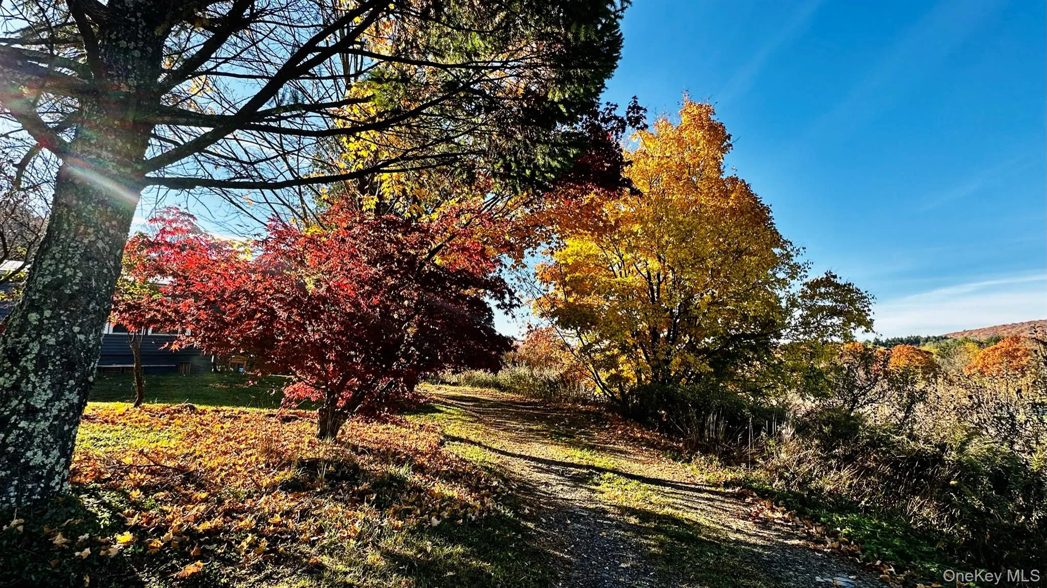 223 Plattekill Road, Marlboro, NY, 3 Bedrooms Bedrooms, 6 Rooms Rooms,2 BathroomsBathrooms,Residential,For Rent,Plattekill,0,975598 223 Plattekill Road, Marlboro, NY, 3 Bedrooms Bedrooms, 6 Rooms Rooms,2 BathroomsBathrooms,Residential,For Rent,Plattekill,0,975598