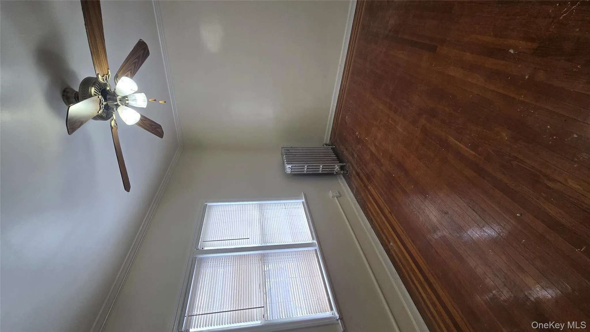 641 5th Avenue, Mount Vernon, NY, 3 Bedrooms Bedrooms, 8 Rooms Rooms,1 BathroomBathrooms,Residential Lease,For Rent,5th,0,975658 641 5th Avenue, Mount Vernon, NY, 3 Bedrooms Bedrooms, 8 Rooms Rooms,1 BathroomBathrooms,Residential Lease,For Rent,5th,0,975658