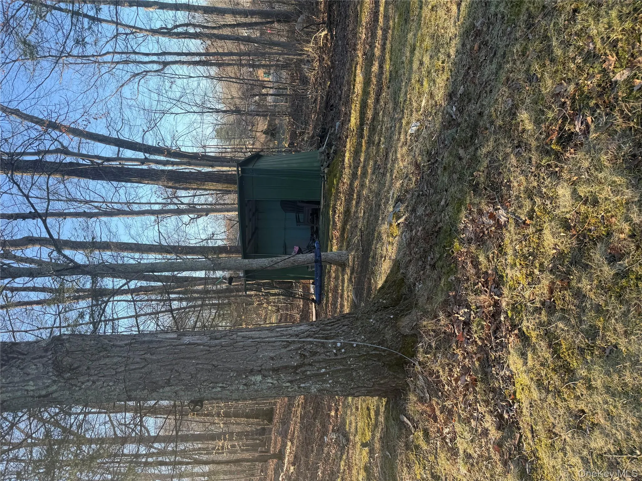 171 Lake Shore Drive, Shawangunk, NY, 2 Bedrooms Bedrooms, 6 Rooms Rooms,1 BathroomBathrooms,Residential Lease,For Rent,Lake Shore,0,975725 171 Lake Shore Drive, Shawangunk, NY, 2 Bedrooms Bedrooms, 6 Rooms Rooms,1 BathroomBathrooms,Residential Lease,For Rent,Lake Shore,0,975725