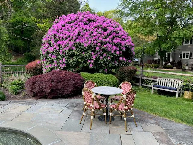 Magnificent pool rhododendron Magnificent pool rhododendron