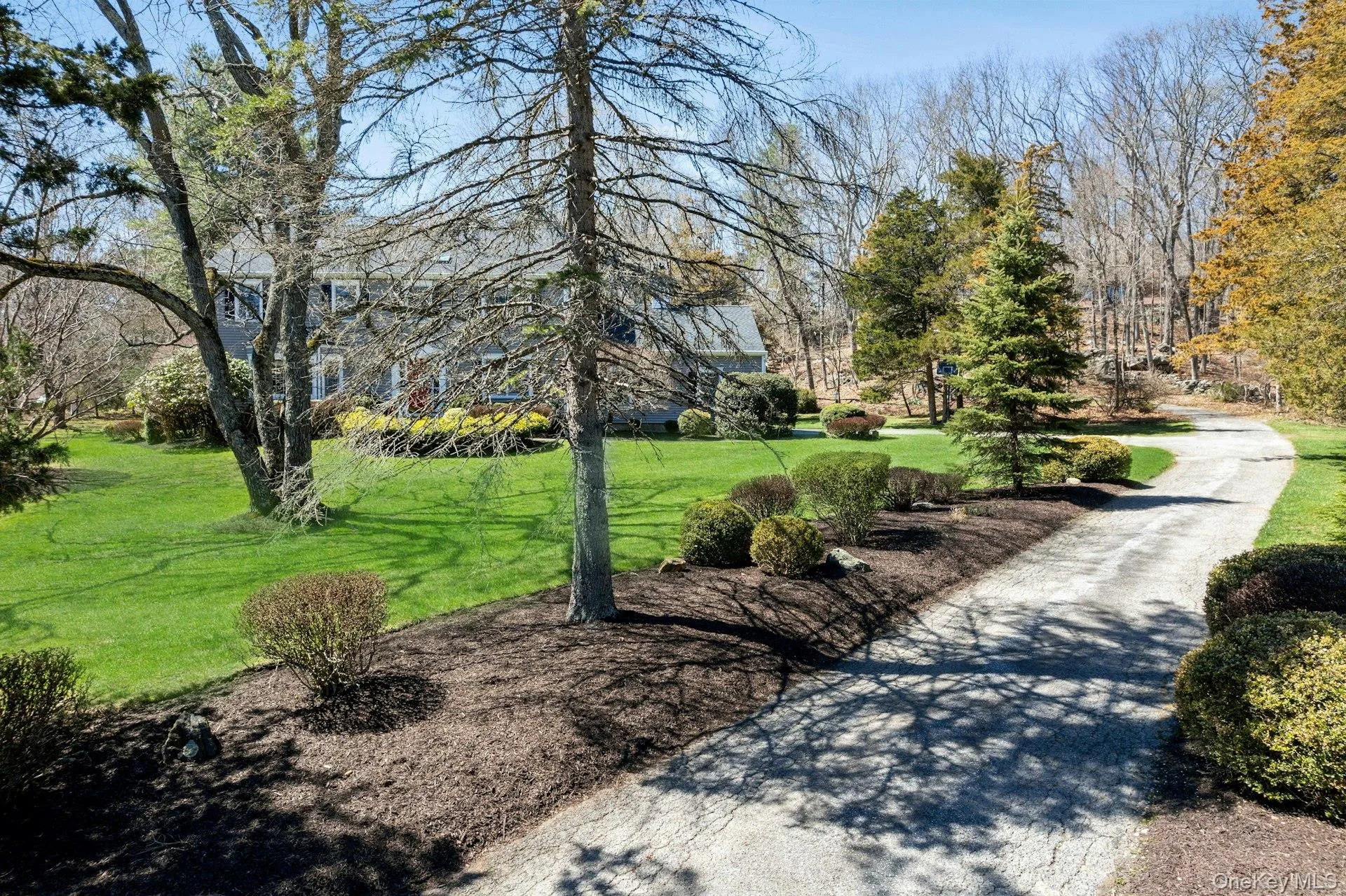 Driveway Driveway