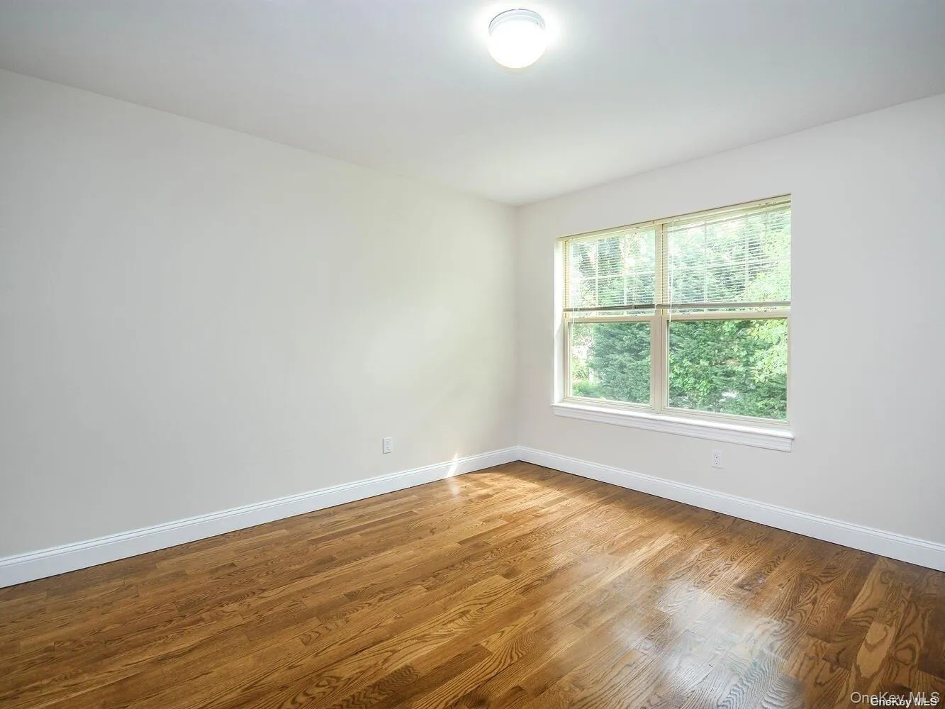 28 Dunes Lane, North Hempstead, NY, 3 Bedrooms Bedrooms, 6 Rooms Rooms,2 BathroomsBathrooms,Residential Lease,For Rent,Dunes,0,975878 28 Dunes Lane, North Hempstead, NY, 3 Bedrooms Bedrooms, 6 Rooms Rooms,2 BathroomsBathrooms,Residential Lease,For Rent,Dunes,0,975878