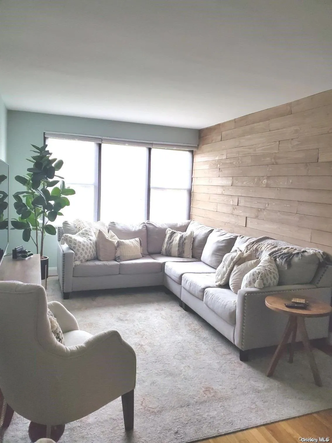 Living Room Living Room