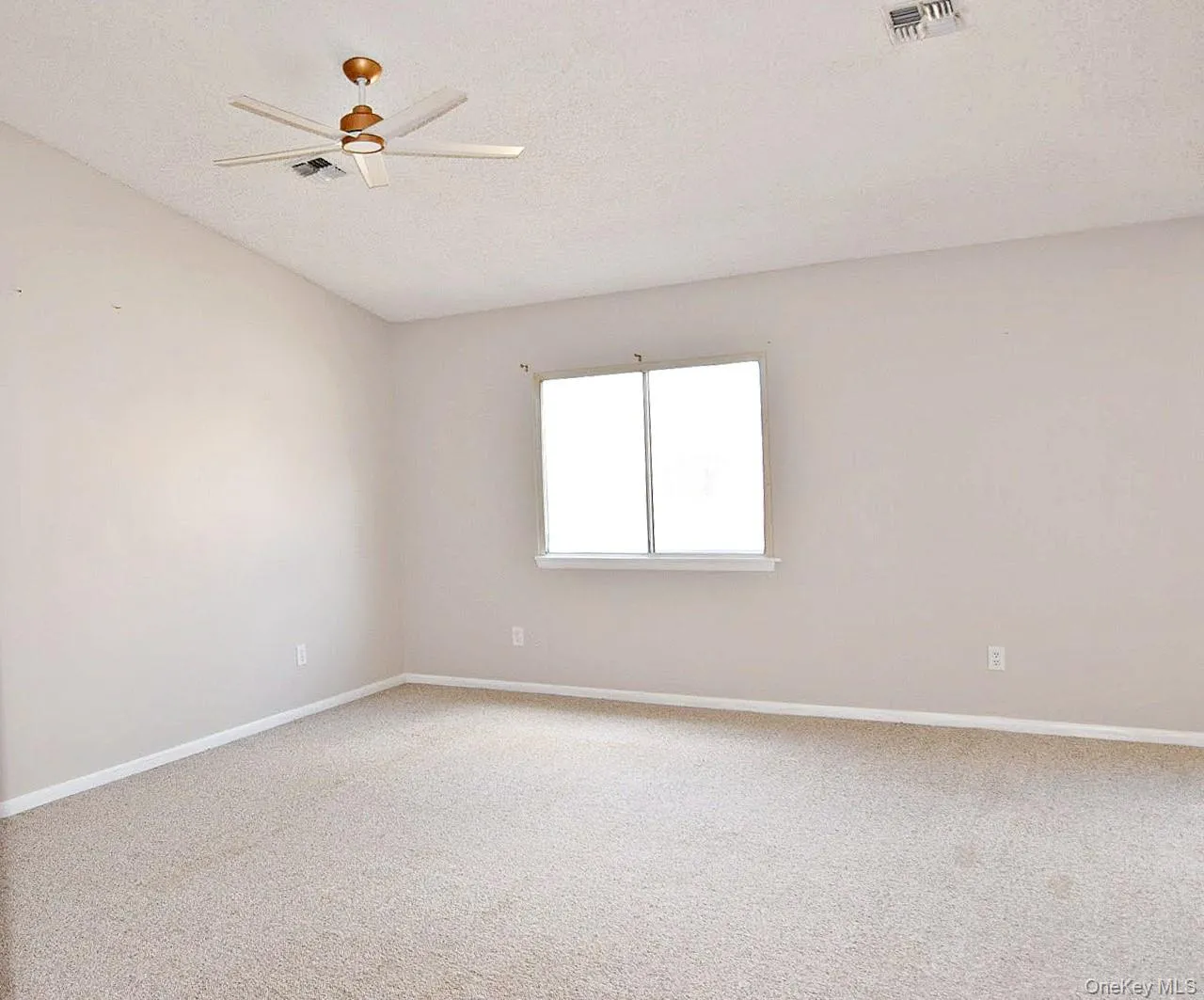 This is a light-filled room. This is a light-filled room.