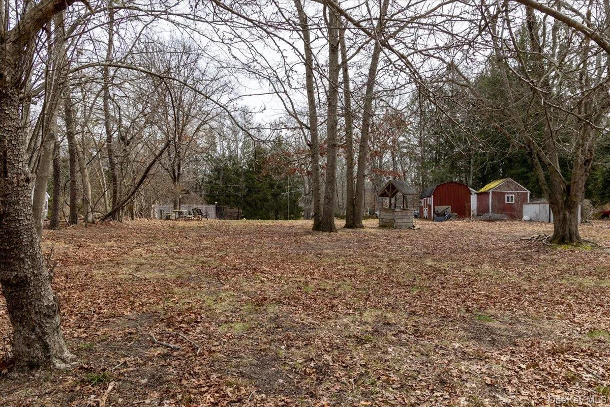 309 Primrose Path, Brookhaven, NY, ,Land,For Rent,Primrose,0,976180 309 Primrose Path, Brookhaven, NY, ,Land,For Rent,Primrose,0,976180