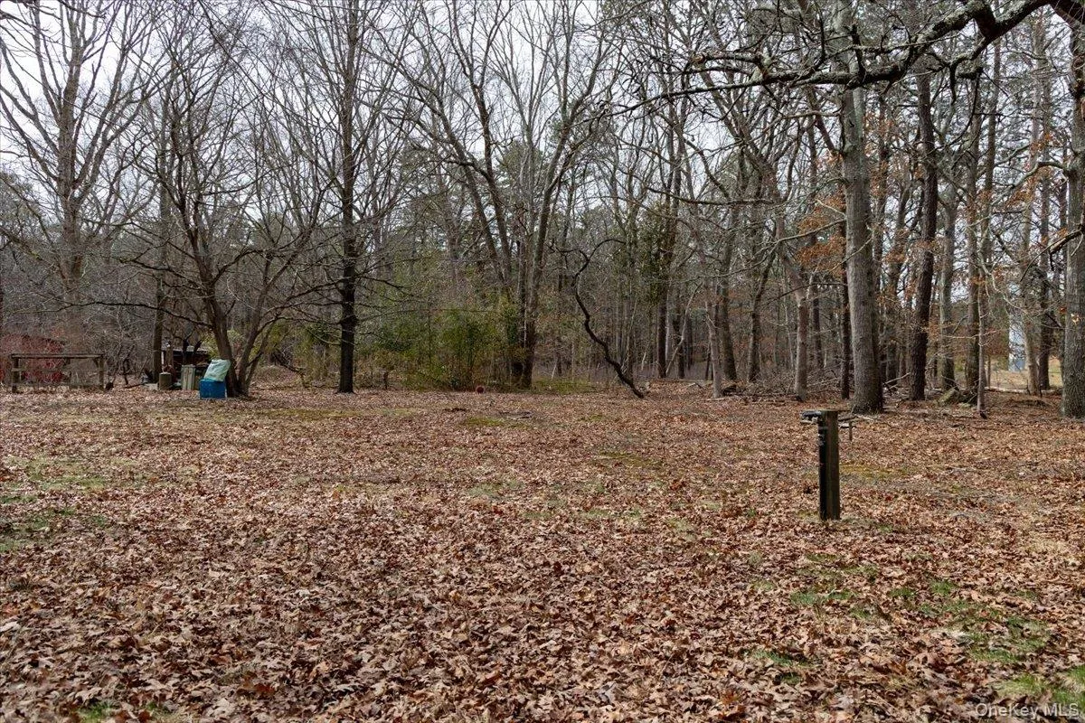 Well water at back of the property Well water at back of the property