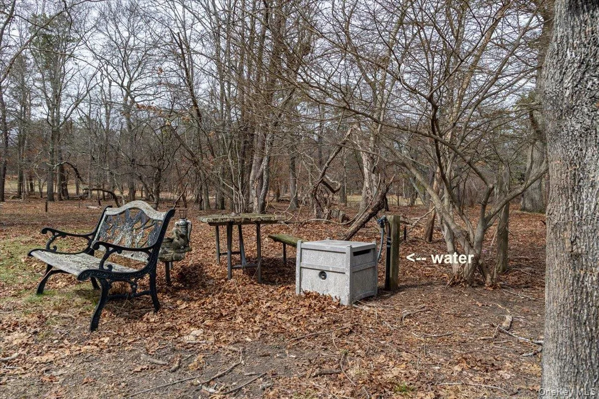 309 Primrose Path, Brookhaven, NY, ,Land,For Rent,Primrose,0,976180 309 Primrose Path, Brookhaven, NY, ,Land,For Rent,Primrose,0,976180