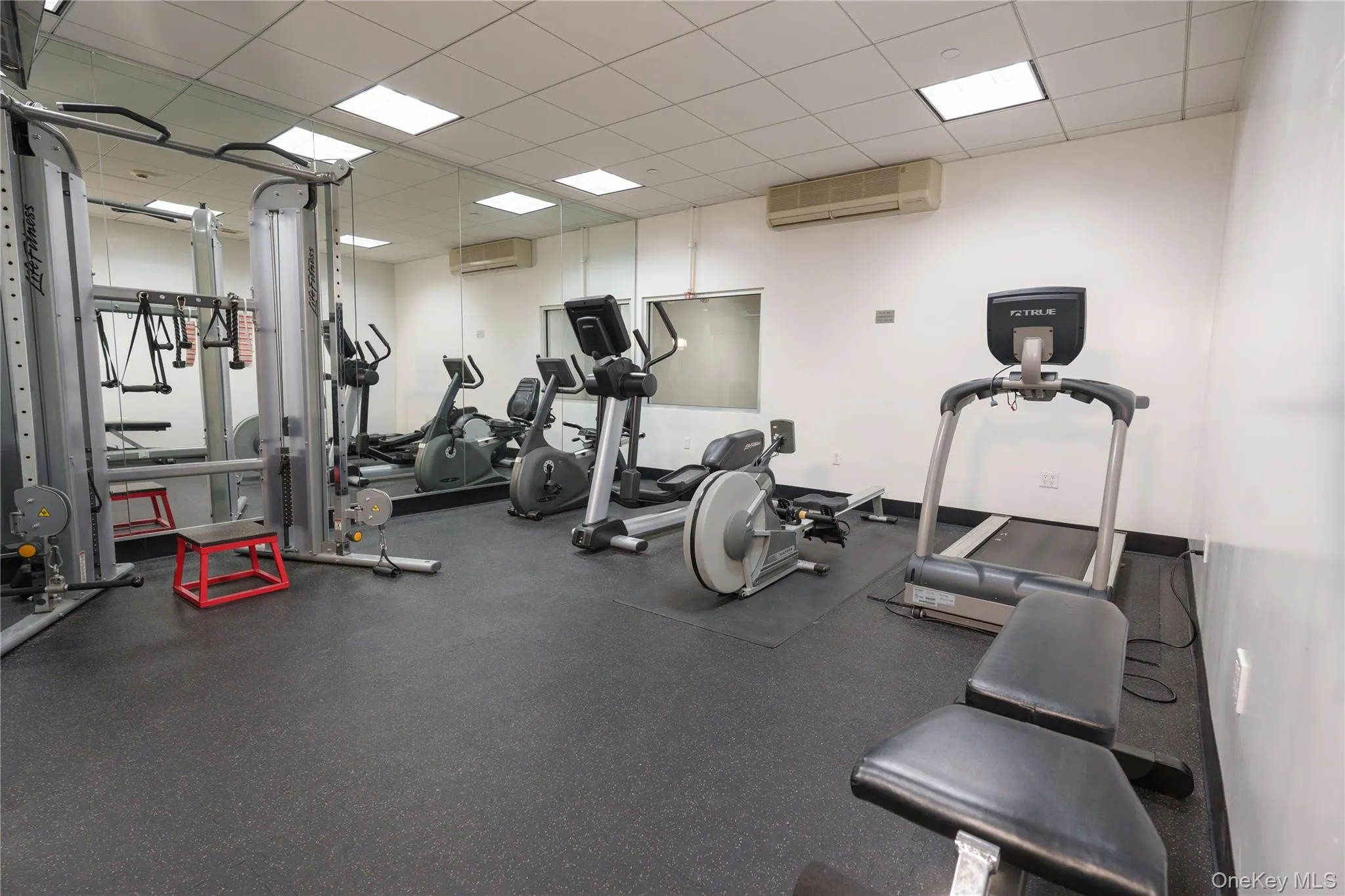 25 Leroy Place, New Rochelle, NY, 2 Bedrooms Bedrooms, 4 Rooms Rooms,2 BathroomsBathrooms,Residential Lease,For Rent,Leroy,0,976290 25 Leroy Place, New Rochelle, NY, 2 Bedrooms Bedrooms, 4 Rooms Rooms,2 BathroomsBathrooms,Residential Lease,For Rent,Leroy,0,976290