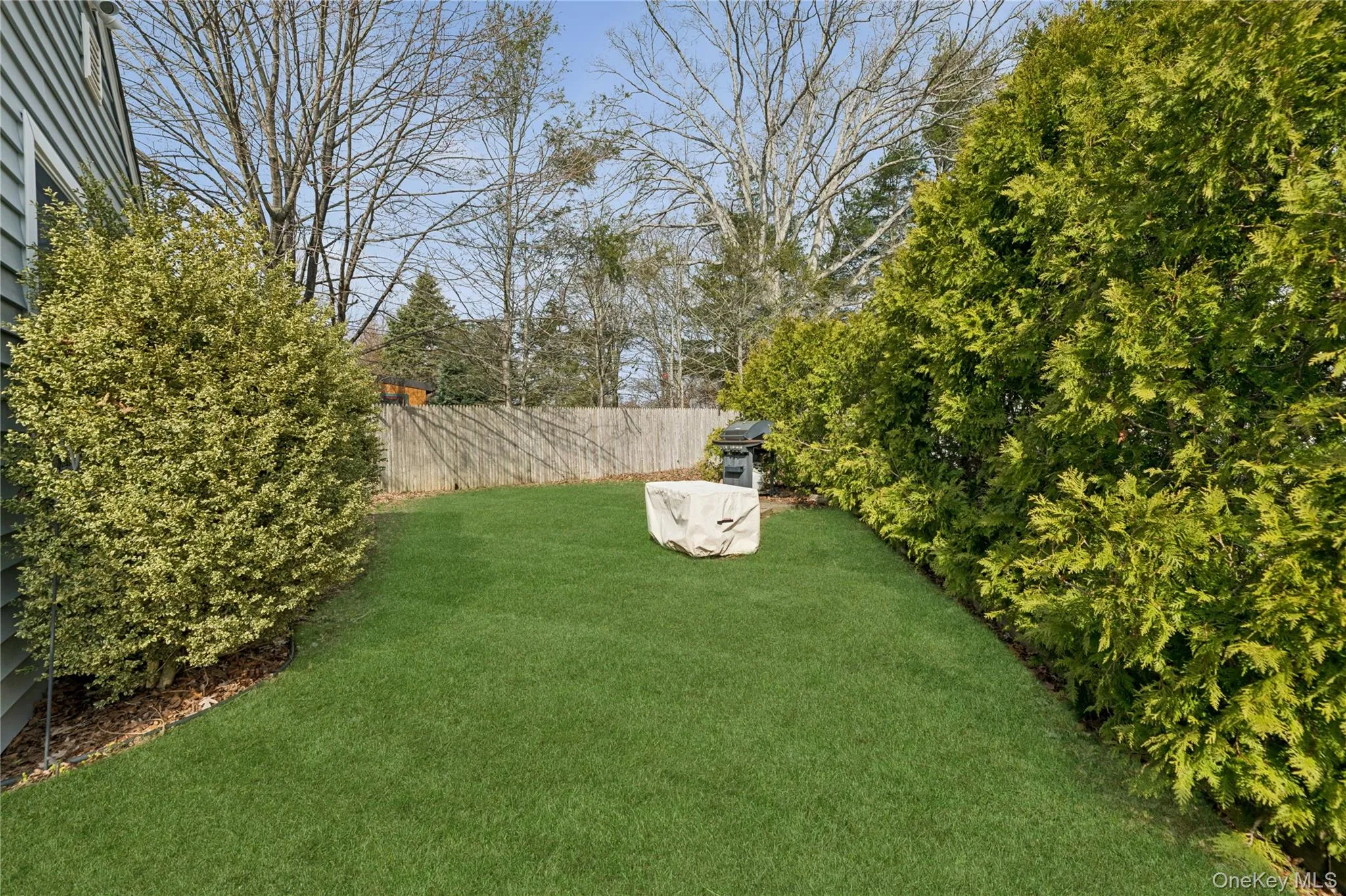 31 Grove Street, Islip, NY, 2 Bedrooms Bedrooms, 5 Rooms Rooms,1 BathroomBathrooms,Residential Lease,For Rent,Grove,0,976326 31 Grove Street, Islip, NY, 2 Bedrooms Bedrooms, 5 Rooms Rooms,1 BathroomBathrooms,Residential Lease,For Rent,Grove,0,976326