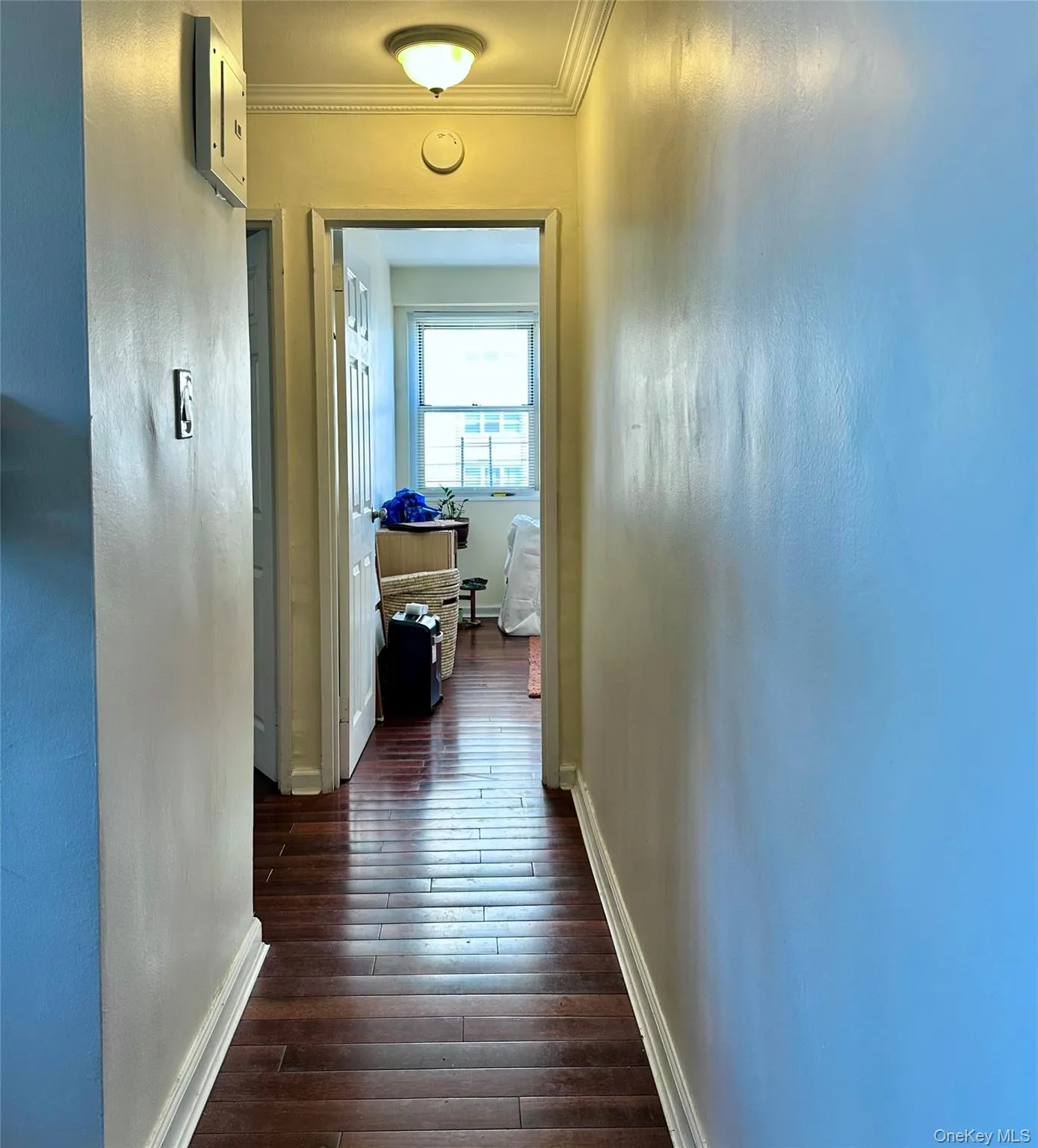 102-30 66th Road, New York, NY, 2 Bedrooms Bedrooms, 4 Rooms Rooms,1 BathroomBathrooms,Residential Lease,For Rent,66th,0,976374 102-30 66th Road, New York, NY, 2 Bedrooms Bedrooms, 4 Rooms Rooms,1 BathroomBathrooms,Residential Lease,For Rent,66th,0,976374