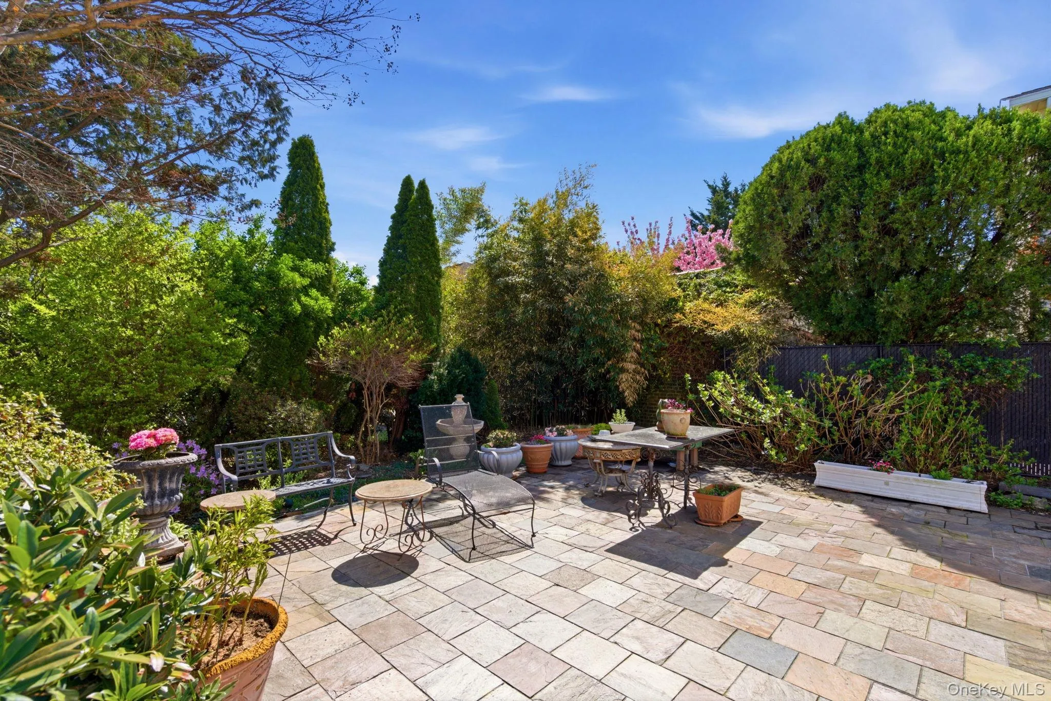Private Backyard Beautiful patio and specimen privacy Private Backyard Beautiful patio and specimen privacy