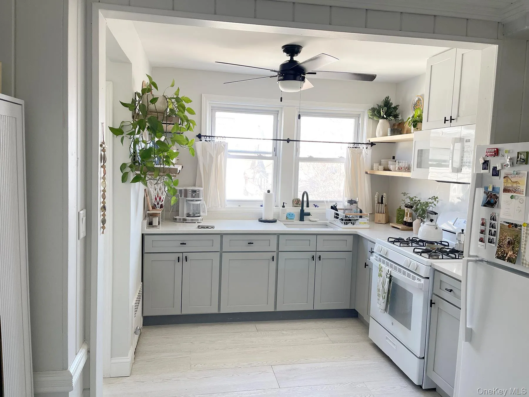 128 Roosevelt Boulevard, Long Beach, NY, 3 Bedrooms Bedrooms, 5 Rooms Rooms,1 BathroomBathrooms,Residential Lease,For Rent,Roosevelt,0,976537 128 Roosevelt Boulevard, Long Beach, NY, 3 Bedrooms Bedrooms, 5 Rooms Rooms,1 BathroomBathrooms,Residential Lease,For Rent,Roosevelt,0,976537