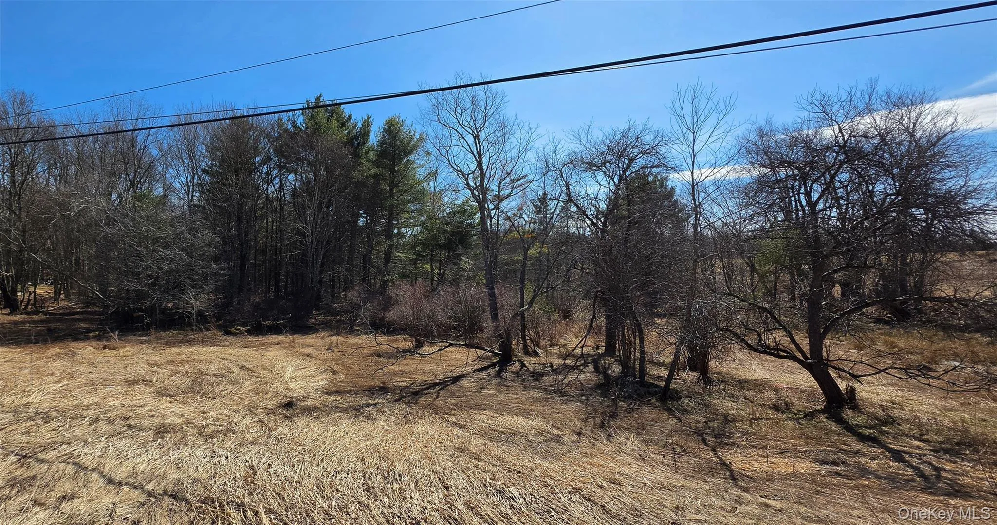 Lot 18.12 Rt. 17B, Bethel, NY, ,Land,For Rent,Rt. 17B,0,976563 Lot 18.12 Rt. 17B, Bethel, NY, ,Land,For Rent,Rt. 17B,0,976563