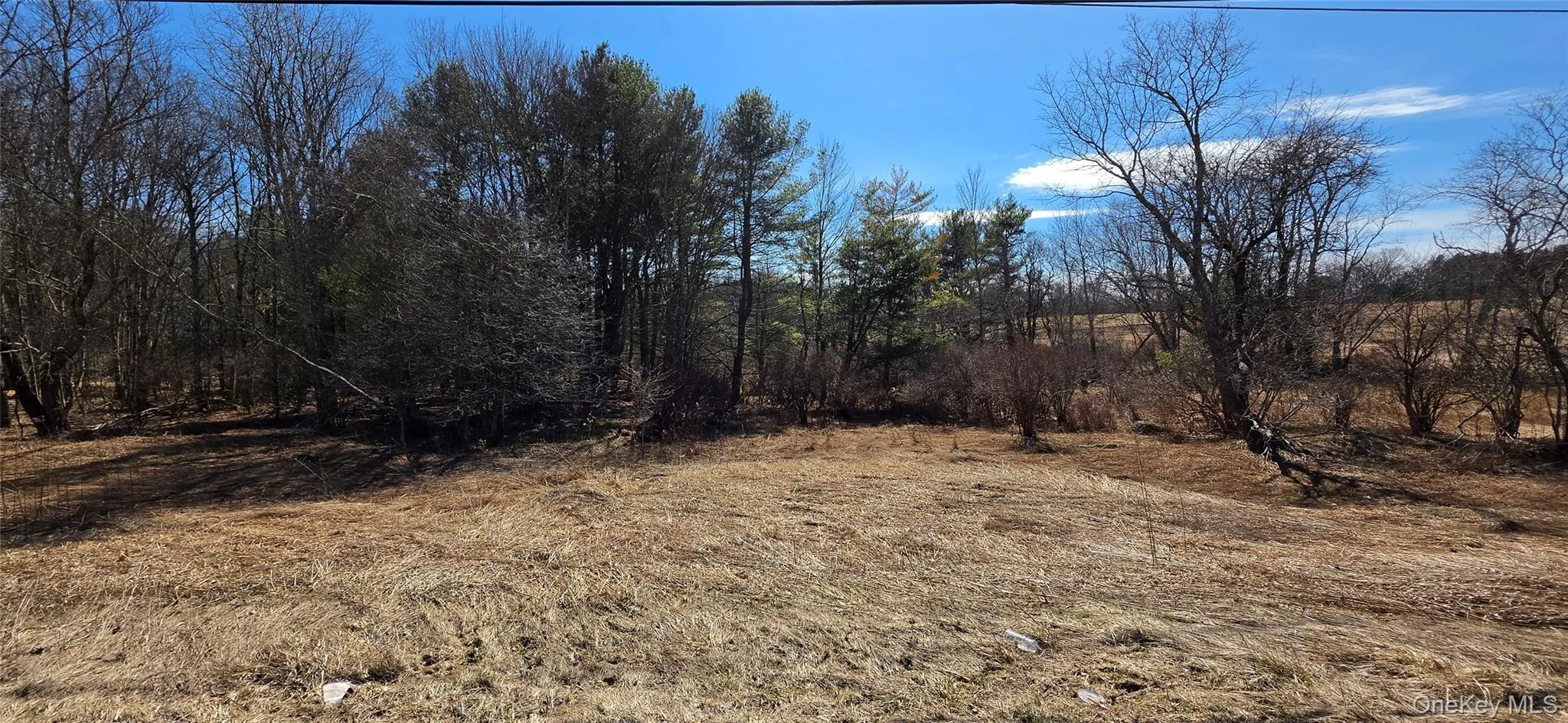 Lot 18.12 Rt. 17B, Bethel, NY, ,Land,For Rent,Rt. 17B,0,976563 Lot 18.12 Rt. 17B, Bethel, NY, ,Land,For Rent,Rt. 17B,0,976563