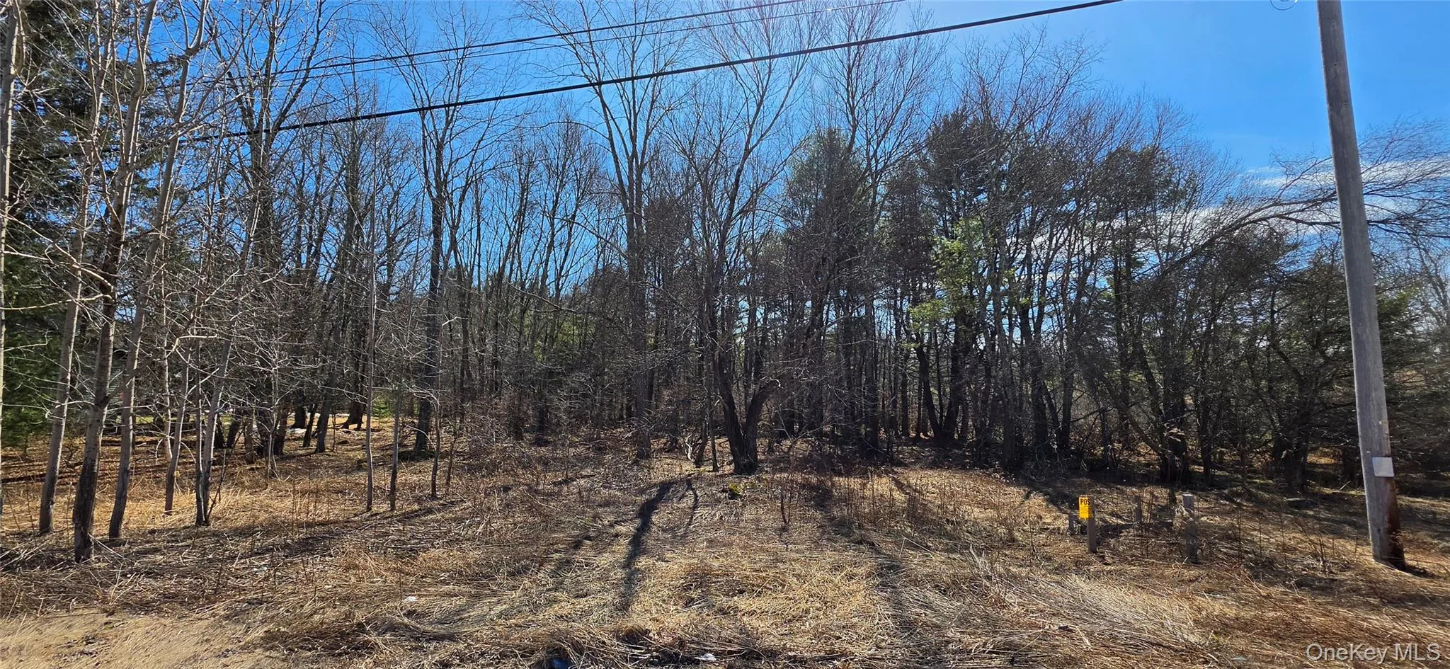 Lot 18.12 Rt. 17B, Bethel, NY, ,Land,For Rent,Rt. 17B,0,976563 Lot 18.12 Rt. 17B, Bethel, NY, ,Land,For Rent,Rt. 17B,0,976563