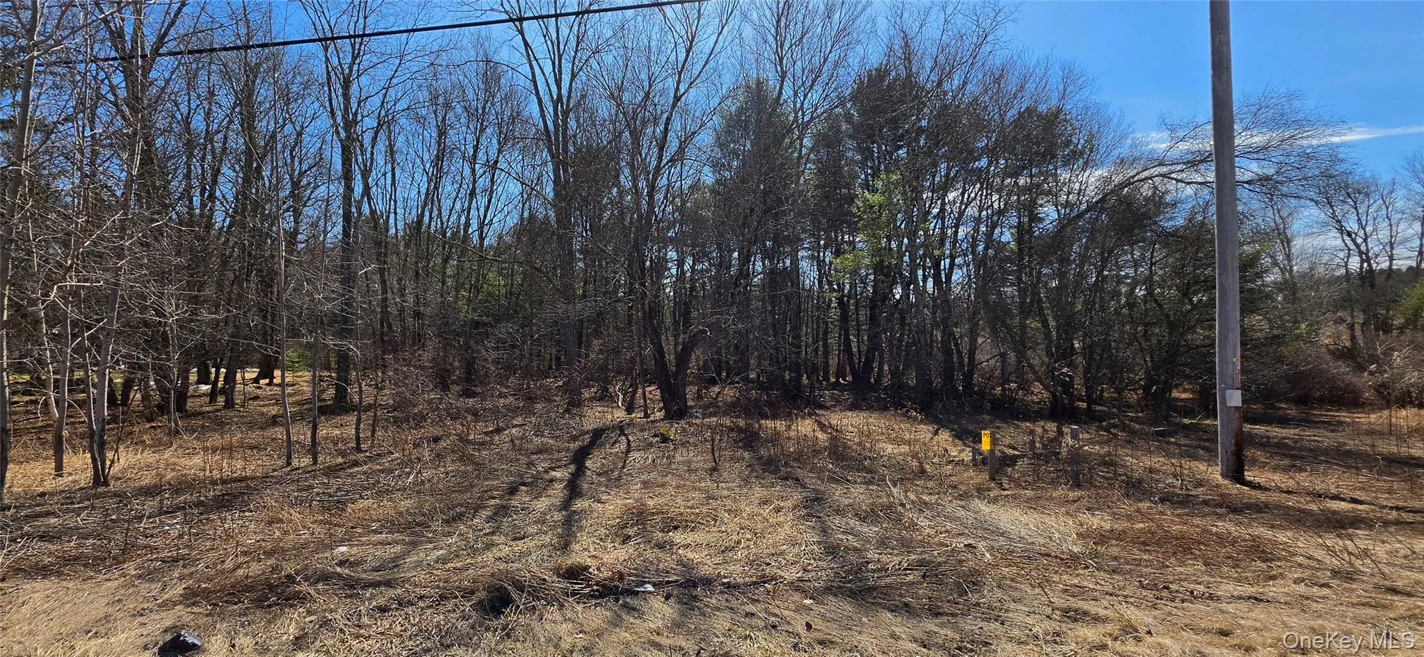Lot 18.12 Rt. 17B, Bethel, NY, ,Land,For Rent,Rt. 17B,0,976563 Lot 18.12 Rt. 17B, Bethel, NY, ,Land,For Rent,Rt. 17B,0,976563