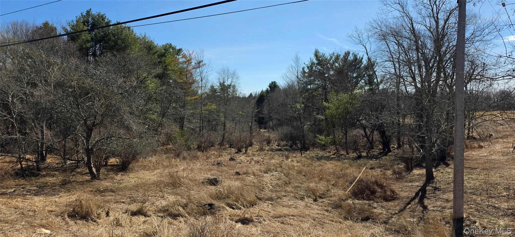 Lot 18.12 Rt. 17B, Bethel, NY, ,Land,For Rent,Rt. 17B,0,976563 Lot 18.12 Rt. 17B, Bethel, NY, ,Land,For Rent,Rt. 17B,0,976563
