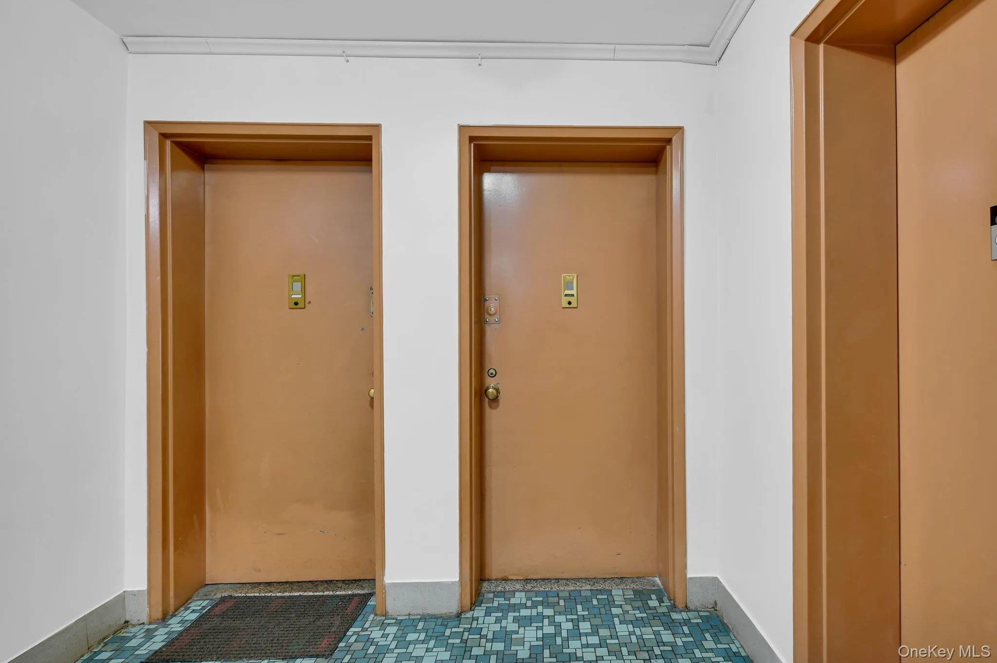 814 B Unit 1E Tilden Street, New York, NY, 1 Bedroom Bedrooms, 3 Rooms Rooms,1 BathroomBathrooms,Residential,For Rent,Tilden,0,976602 814 B Unit 1E Tilden Street, New York, NY, 1 Bedroom Bedrooms, 3 Rooms Rooms,1 BathroomBathrooms,Residential,For Rent,Tilden,0,976602