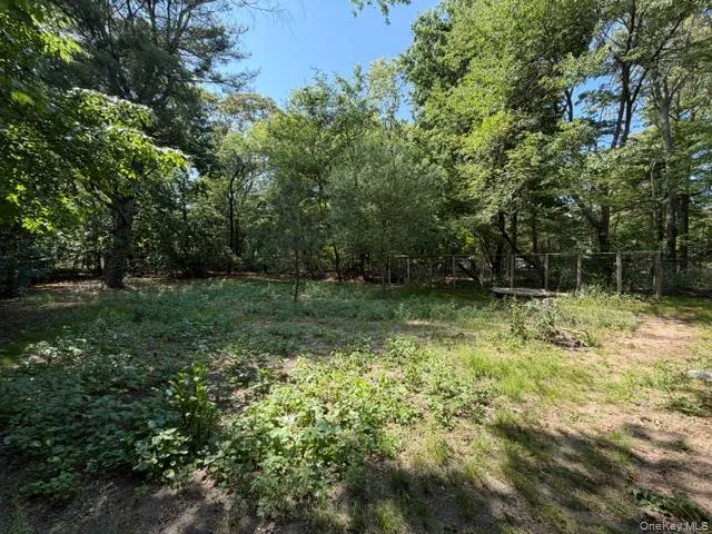 Wooded grounds featuring mature trees and partial fencing Wooded grounds featuring mature trees and partial fencing