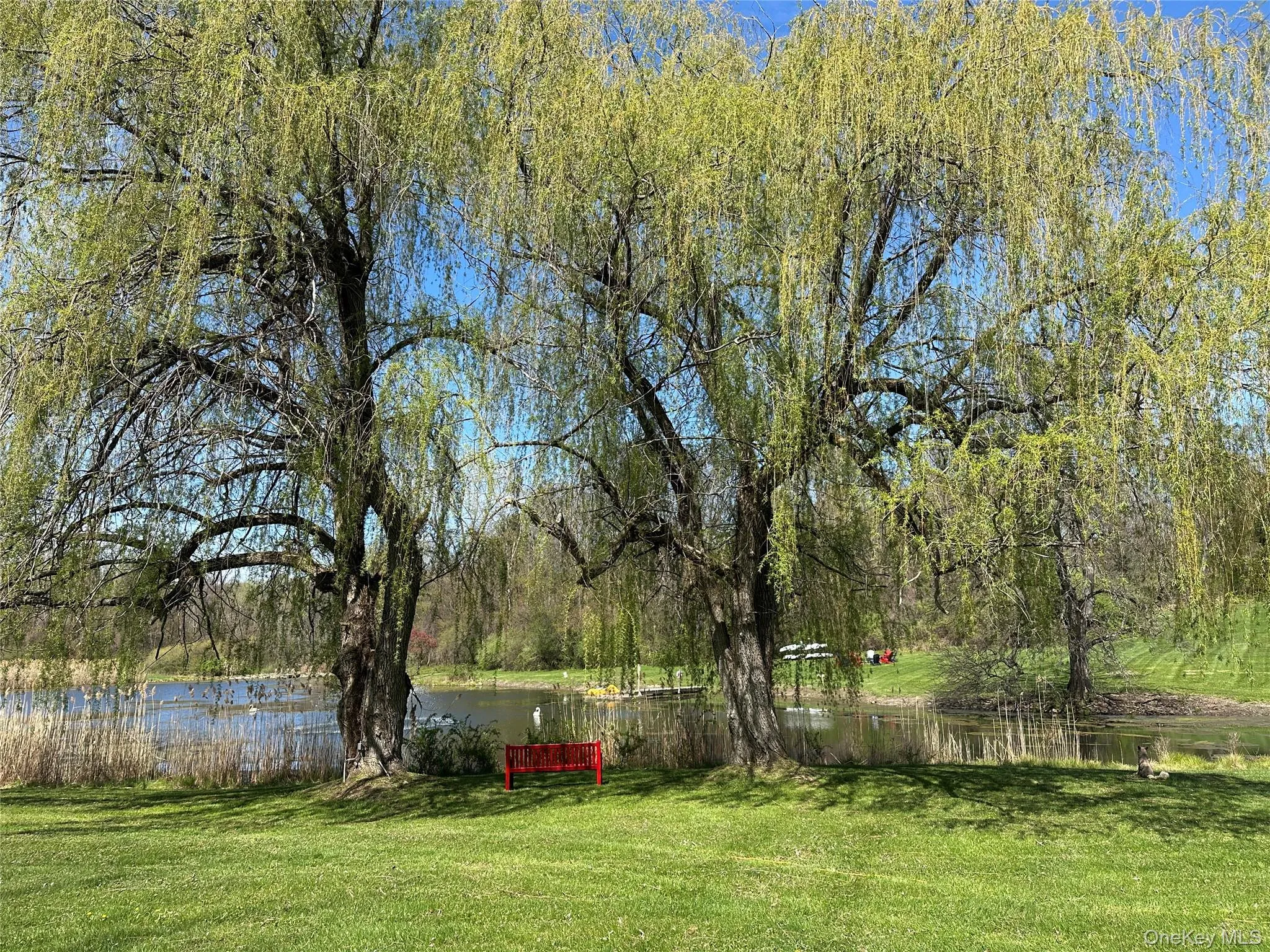 443 Taghkanic Road, Taghkanic, NY, 6 Bedrooms Bedrooms, 12 Rooms Rooms,6 BathroomsBathrooms,Residential Sale,For Rent,Taghkanic,0,976918 443 Taghkanic Road, Taghkanic, NY, 6 Bedrooms Bedrooms, 12 Rooms Rooms,6 BathroomsBathrooms,Residential Sale,For Rent,Taghkanic,0,976918