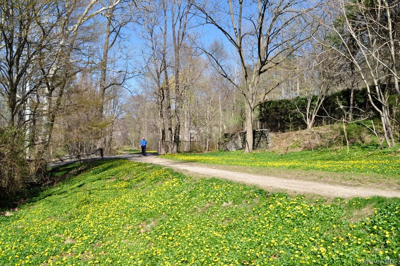 9 Strawberry Lane, Greenburgh, NY, 4 Bedrooms Bedrooms, 8 Rooms Rooms,2 BathroomsBathrooms,Residential,For Rent,Strawberry,0,976939 9 Strawberry Lane, Greenburgh, NY, 4 Bedrooms Bedrooms, 8 Rooms Rooms,2 BathroomsBathrooms,Residential,For Rent,Strawberry,0,976939
