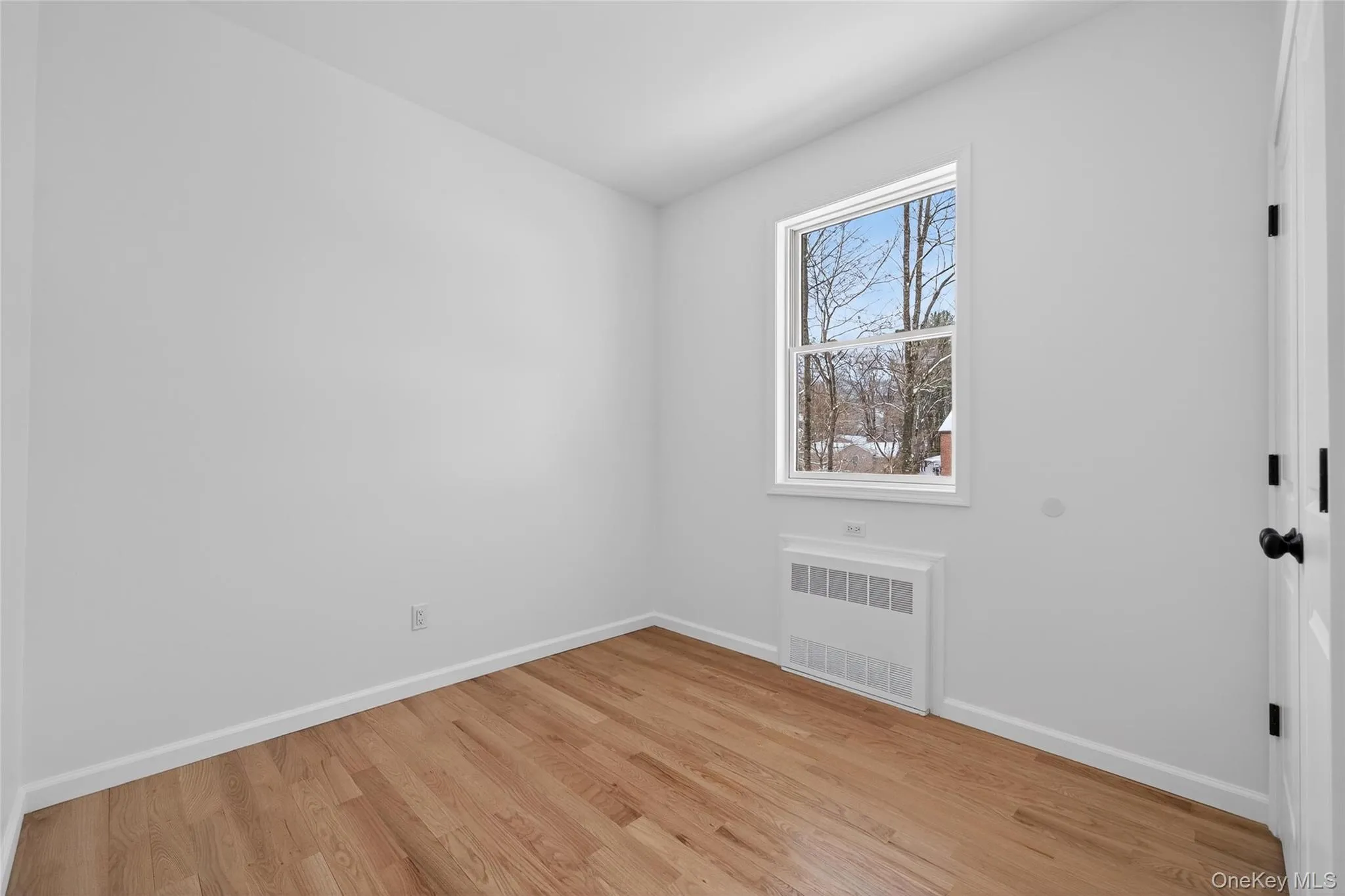 Unfurnished room featuring light wood-style floors and radiator Unfurnished room featuring light wood-style floors and radiator