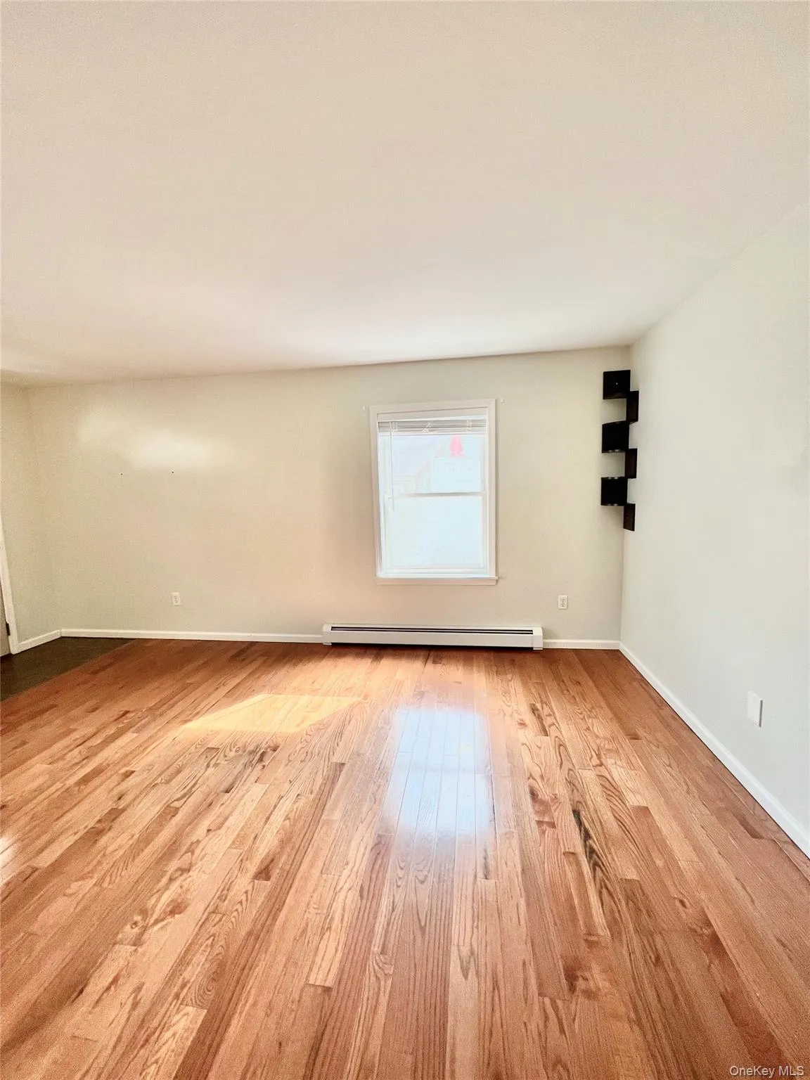 living room con't baseboards, a baseboard radiator, and light wood-style flooring living room con't baseboards, a baseboard radiator, and light wood-style flooring
