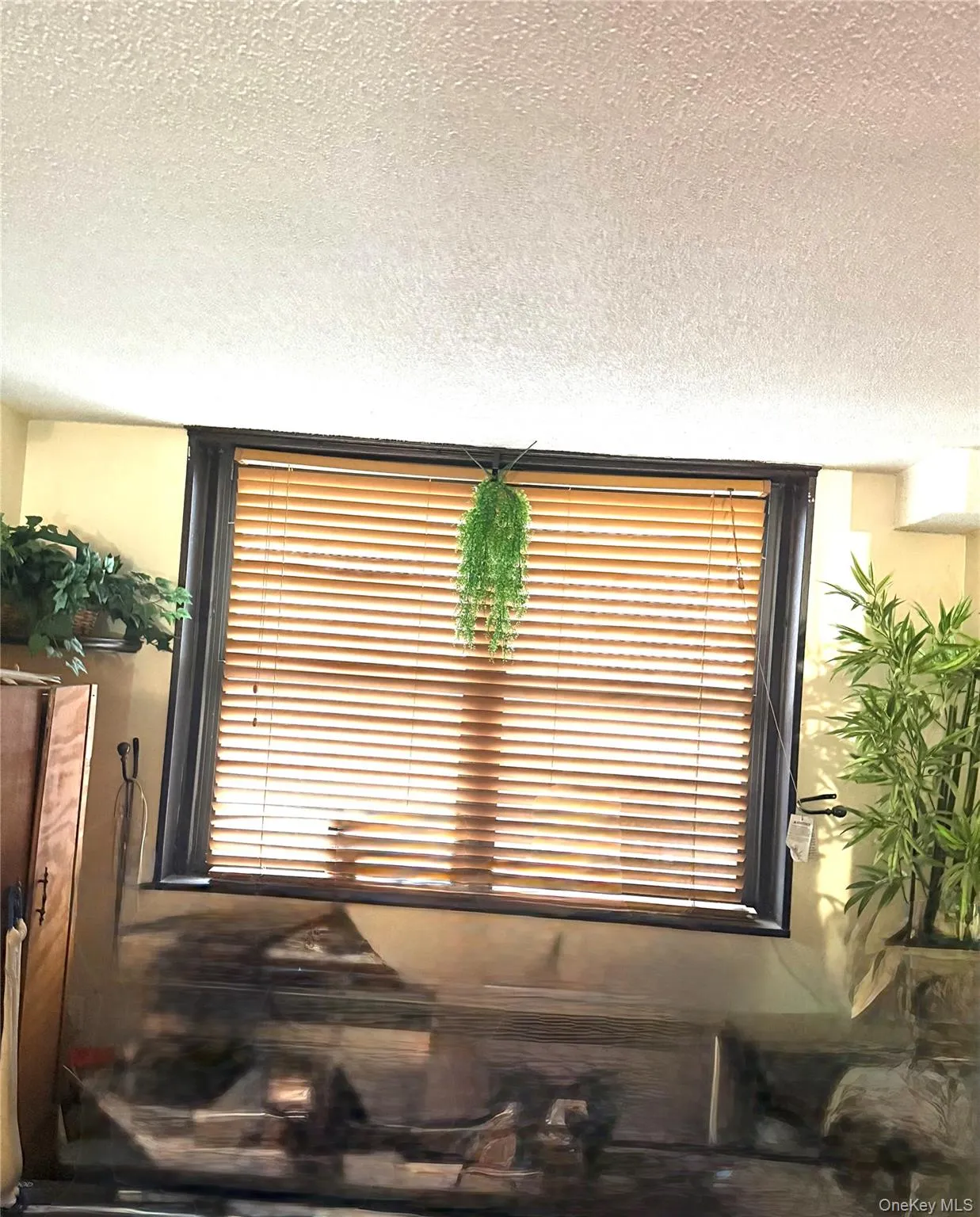 1966 Newbold Avenue, New York, NY, 1 Bedroom Bedrooms, 1 Room Rooms,1 BathroomBathrooms,Residential,For Rent,Newbold,0,977023 1966 Newbold Avenue, New York, NY, 1 Bedroom Bedrooms, 1 Room Rooms,1 BathroomBathrooms,Residential,For Rent,Newbold,0,977023