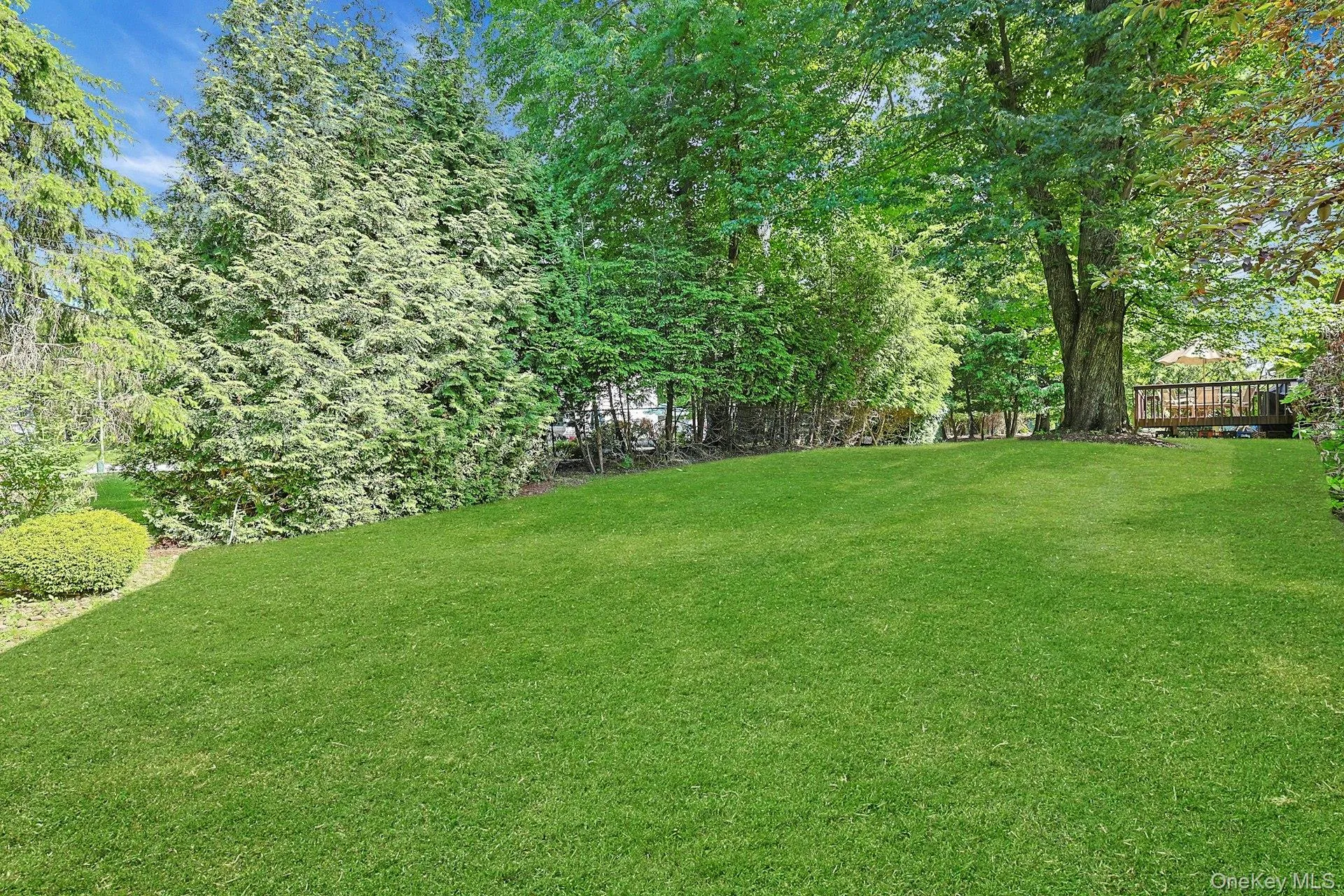 8 Sasson Terrace, Clarkstown, NY, 4 Bedrooms Bedrooms, 8 Rooms Rooms,2 BathroomsBathrooms,Residential,For Rent,Sasson,0,977031 8 Sasson Terrace, Clarkstown, NY, 4 Bedrooms Bedrooms, 8 Rooms Rooms,2 BathroomsBathrooms,Residential,For Rent,Sasson,0,977031