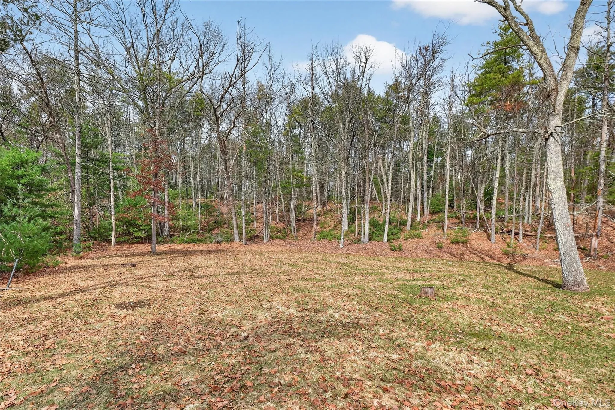 274 Morgan Hill Road, Hurley, NY, 3 Bedrooms Bedrooms, 6 Rooms Rooms,2 BathroomsBathrooms,Residential,For Rent,Morgan Hill,0,977040 274 Morgan Hill Road, Hurley, NY, 3 Bedrooms Bedrooms, 6 Rooms Rooms,2 BathroomsBathrooms,Residential,For Rent,Morgan Hill,0,977040