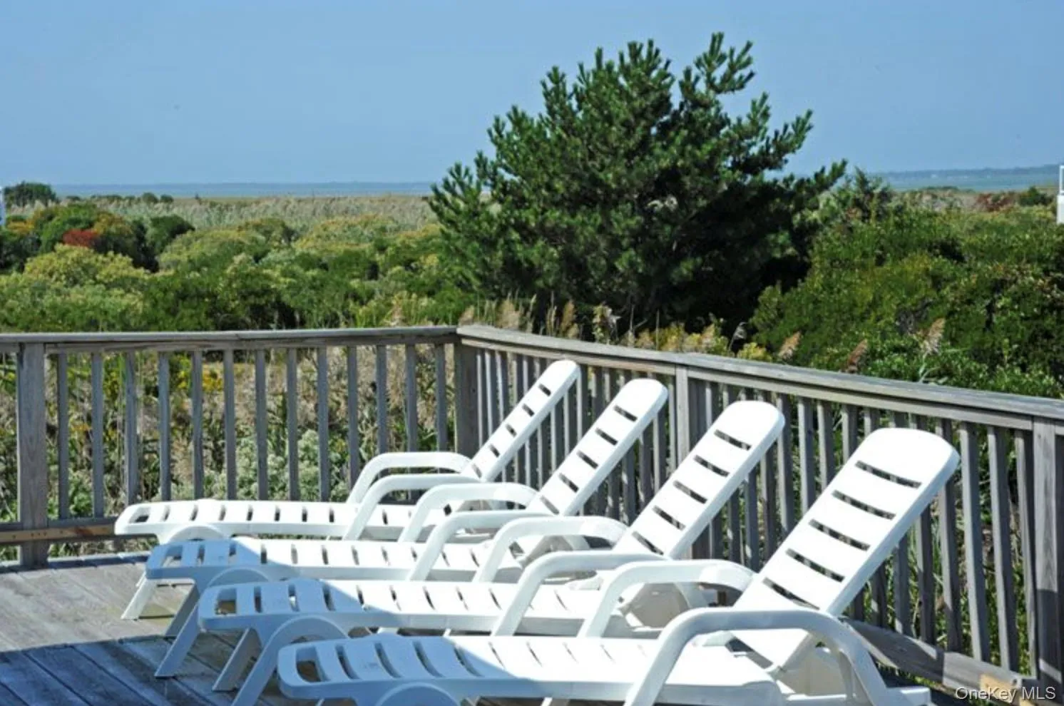 900 Dune Road, Southampton, NY, 5 Bedrooms Bedrooms, 8 Rooms Rooms,3 BathroomsBathrooms,Residential,For Rent,Dune,0,977041 900 Dune Road, Southampton, NY, 5 Bedrooms Bedrooms, 8 Rooms Rooms,3 BathroomsBathrooms,Residential,For Rent,Dune,0,977041