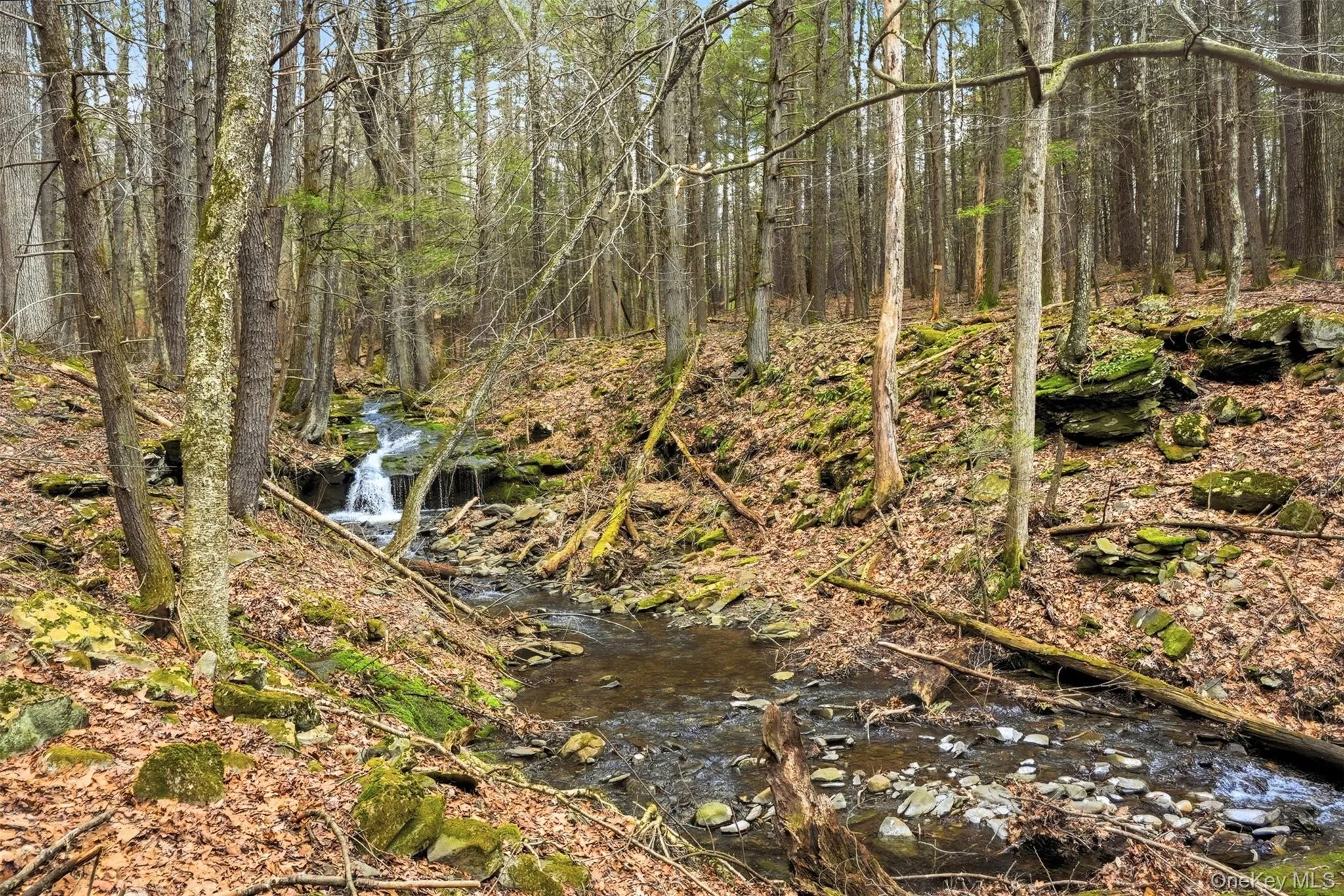 2320 Glasco Turnpike, Woodstock, NY, 8 Bedrooms Bedrooms, 17 Rooms Rooms,5 BathroomsBathrooms,Residential Sale,For Rent,Glasco,0,977042 2320 Glasco Turnpike, Woodstock, NY, 8 Bedrooms Bedrooms, 17 Rooms Rooms,5 BathroomsBathrooms,Residential Sale,For Rent,Glasco,0,977042