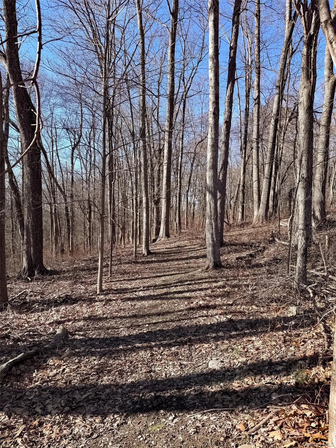 250 Maloney Road, La Grange, NY, 3 Bedrooms Bedrooms, 14 Rooms Rooms,3 BathroomsBathrooms,Residential,For Rent,Maloney,0,977212 250 Maloney Road, La Grange, NY, 3 Bedrooms Bedrooms, 14 Rooms Rooms,3 BathroomsBathrooms,Residential,For Rent,Maloney,0,977212