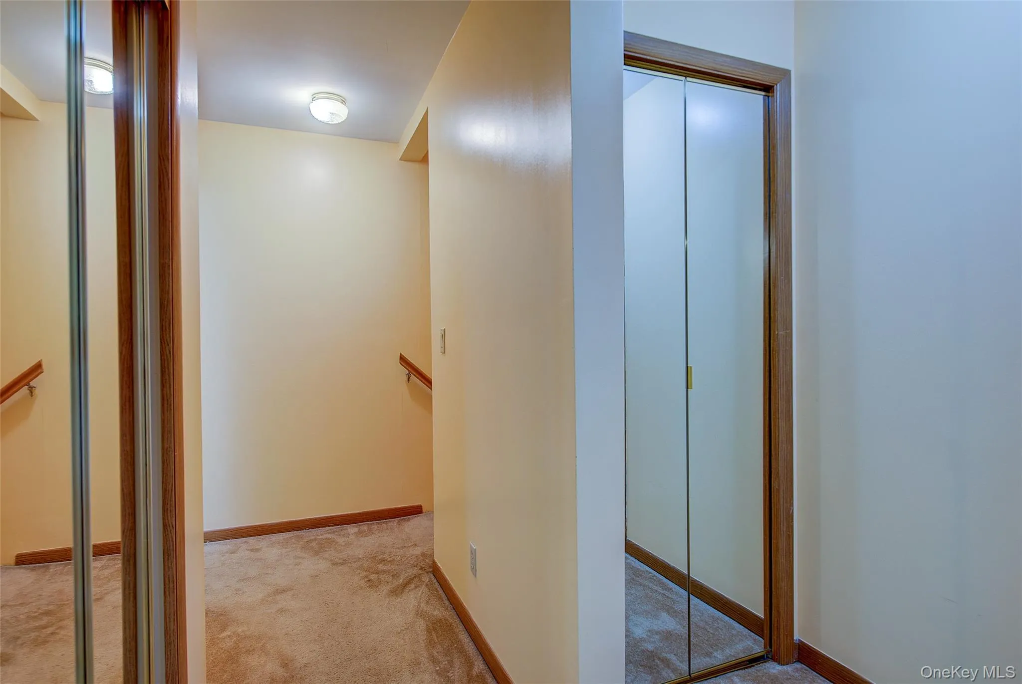 41 Beechwood Avenue, Mount Vernon, NY, 3 Bedrooms Bedrooms, 7 Rooms Rooms,2 BathroomsBathrooms,Residential Lease,For Rent,Beechwood,0,977214 41 Beechwood Avenue, Mount Vernon, NY, 3 Bedrooms Bedrooms, 7 Rooms Rooms,2 BathroomsBathrooms,Residential Lease,For Rent,Beechwood,0,977214