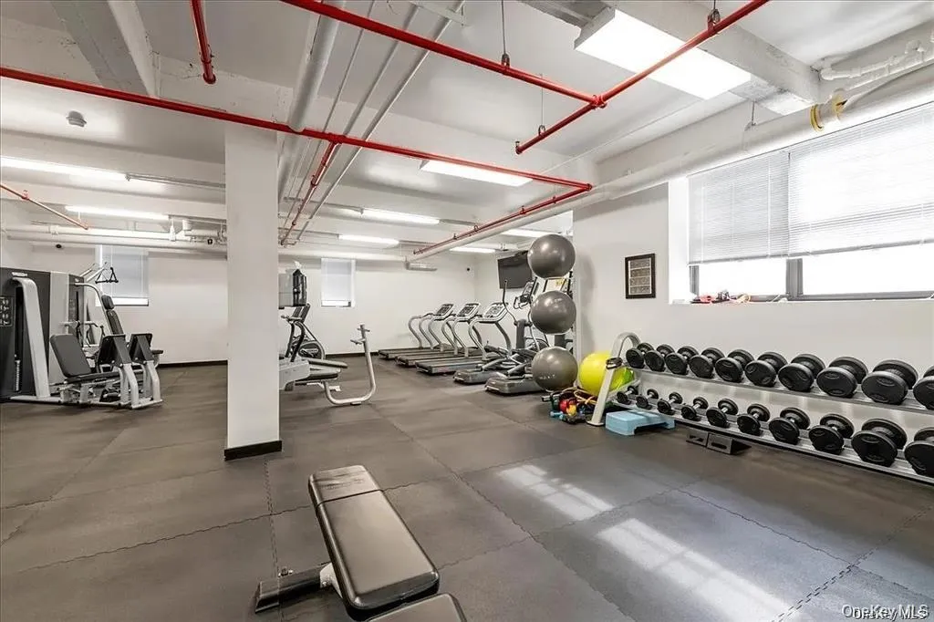 8340 Austin Street, New York, NY, 2 Rooms Rooms,1 BathroomBathrooms,Residential Lease,For Rent,Austin,0,977224 8340 Austin Street, New York, NY, 2 Rooms Rooms,1 BathroomBathrooms,Residential Lease,For Rent,Austin,0,977224