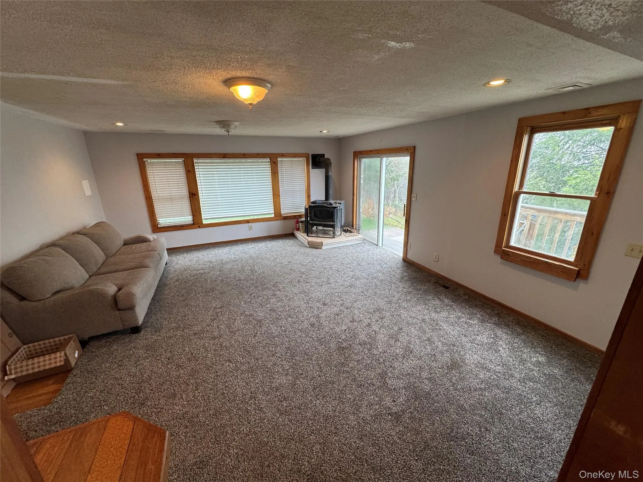 1st floor living room with hardwood flooring underneath the carpet. Wood stove and sliding glass door to the back yard. 1st floor living room with hardwood flooring underneath the carpet. Wood stove and sliding glass door to the back yard.