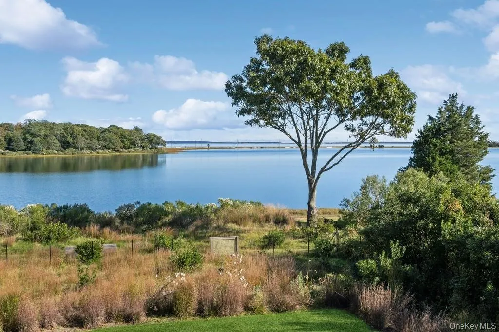 1080 Springs Fireplace Road, East Hampton, NY, 4 Bedrooms Bedrooms, 9 Rooms Rooms,3 BathroomsBathrooms,Residential Lease,For Rent,Springs Fireplace,0,977393 1080 Springs Fireplace Road, East Hampton, NY, 4 Bedrooms Bedrooms, 9 Rooms Rooms,3 BathroomsBathrooms,Residential Lease,For Rent,Springs Fireplace,0,977393
