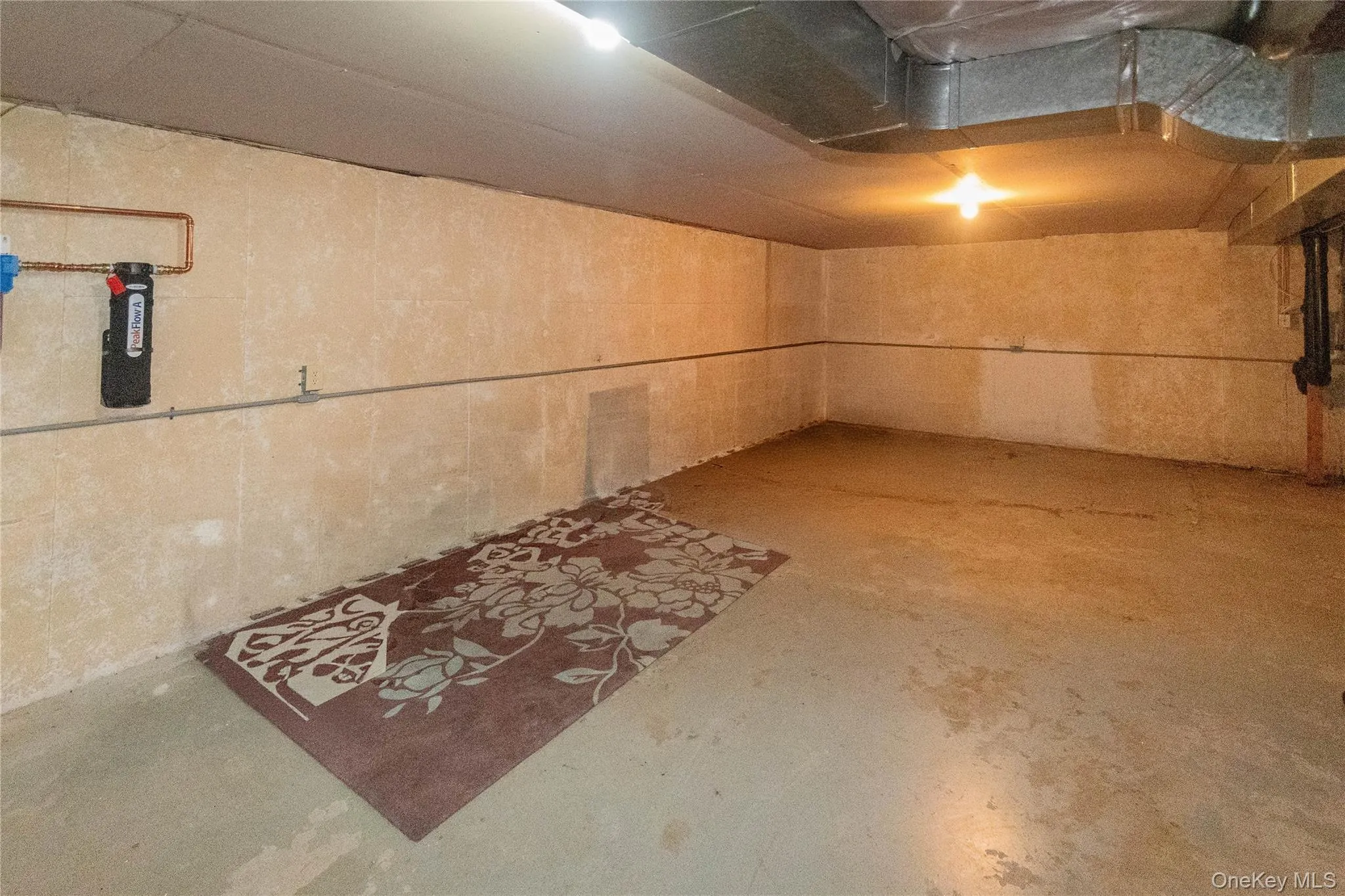 Basement, plenty of storage Basement, plenty of storage