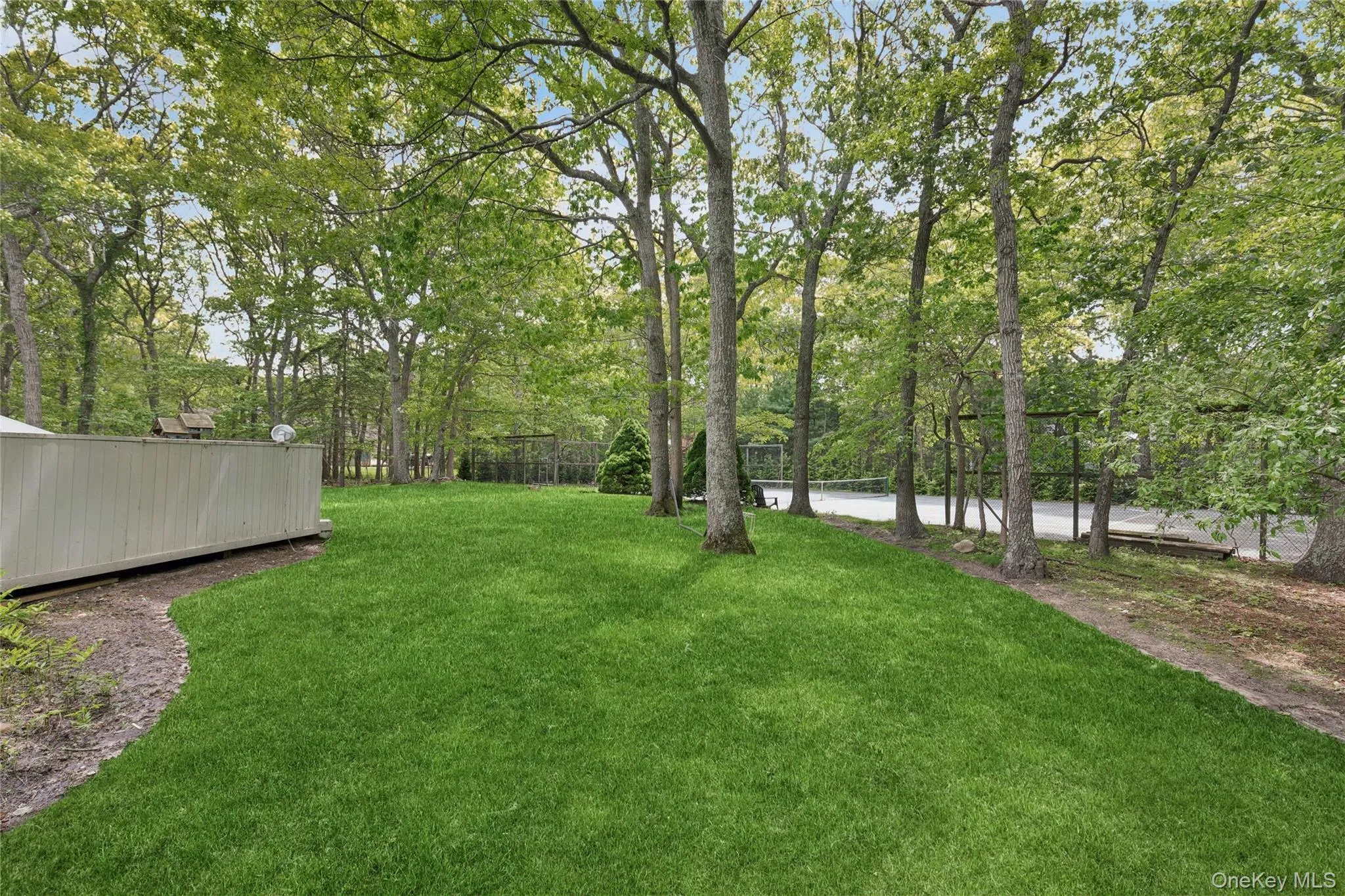 View of yard View of yard