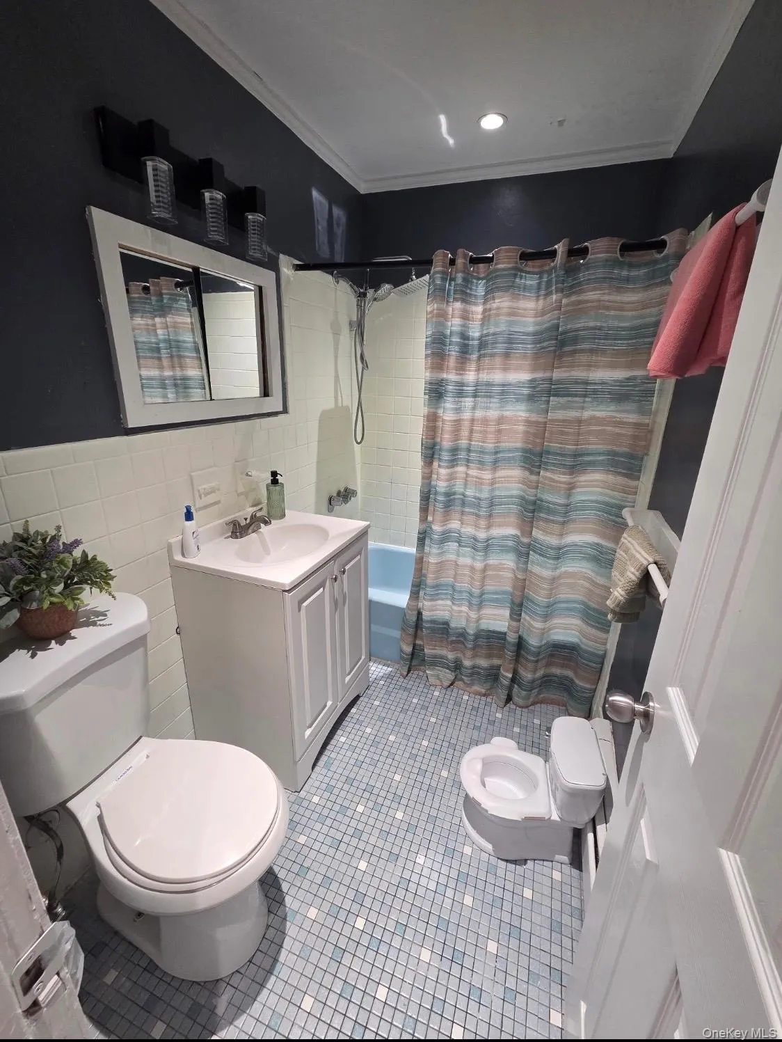 19 Tanager Road, Monroe, NY, 2 Bedrooms Bedrooms, 5 Rooms Rooms,1 BathroomBathrooms,Residential Sale,For Rent,Tanager,0,977511 19 Tanager Road, Monroe, NY, 2 Bedrooms Bedrooms, 5 Rooms Rooms,1 BathroomBathrooms,Residential Sale,For Rent,Tanager,0,977511