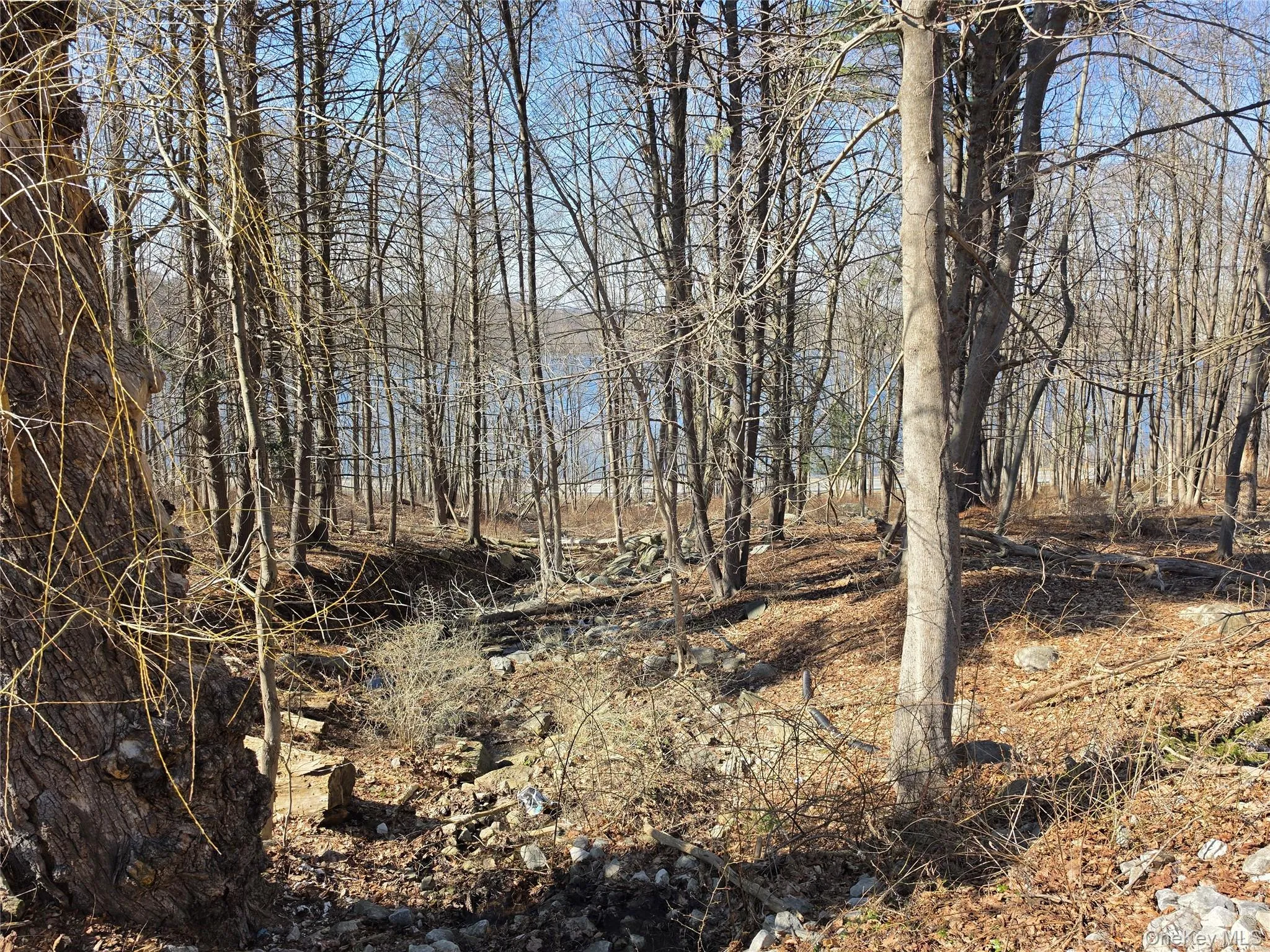 6 Willow Road, Carmel, NY, ,Land,For Rent,Willow,0,977553 6 Willow Road, Carmel, NY, ,Land,For Rent,Willow,0,977553