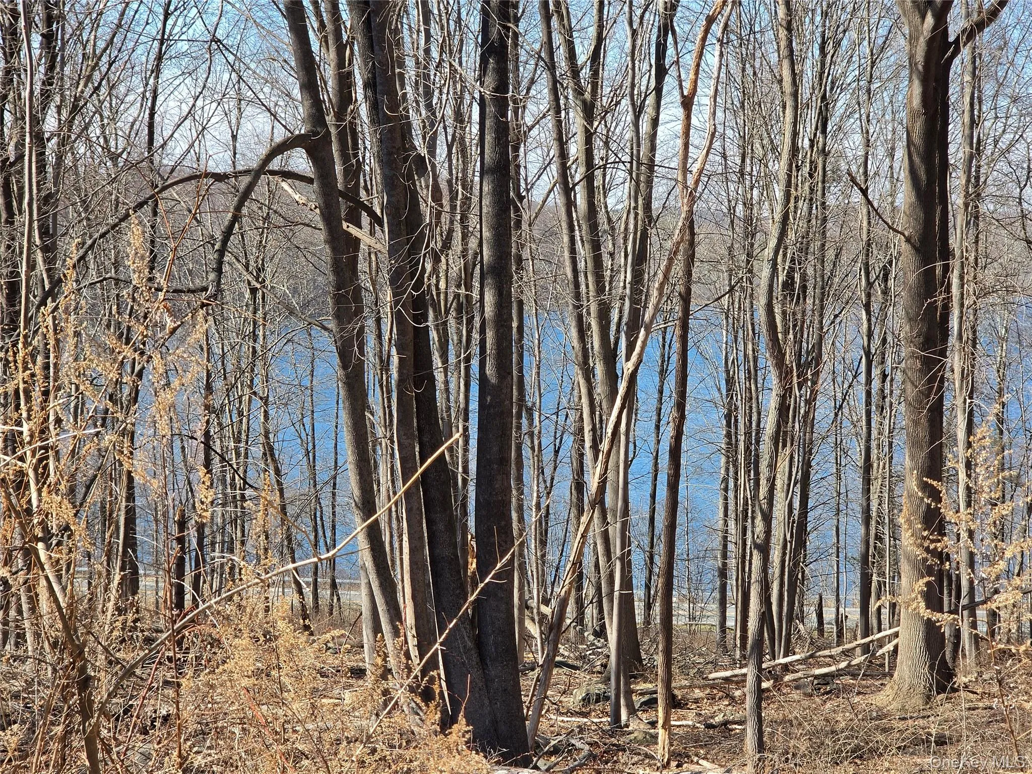 View form the property. View form the property.