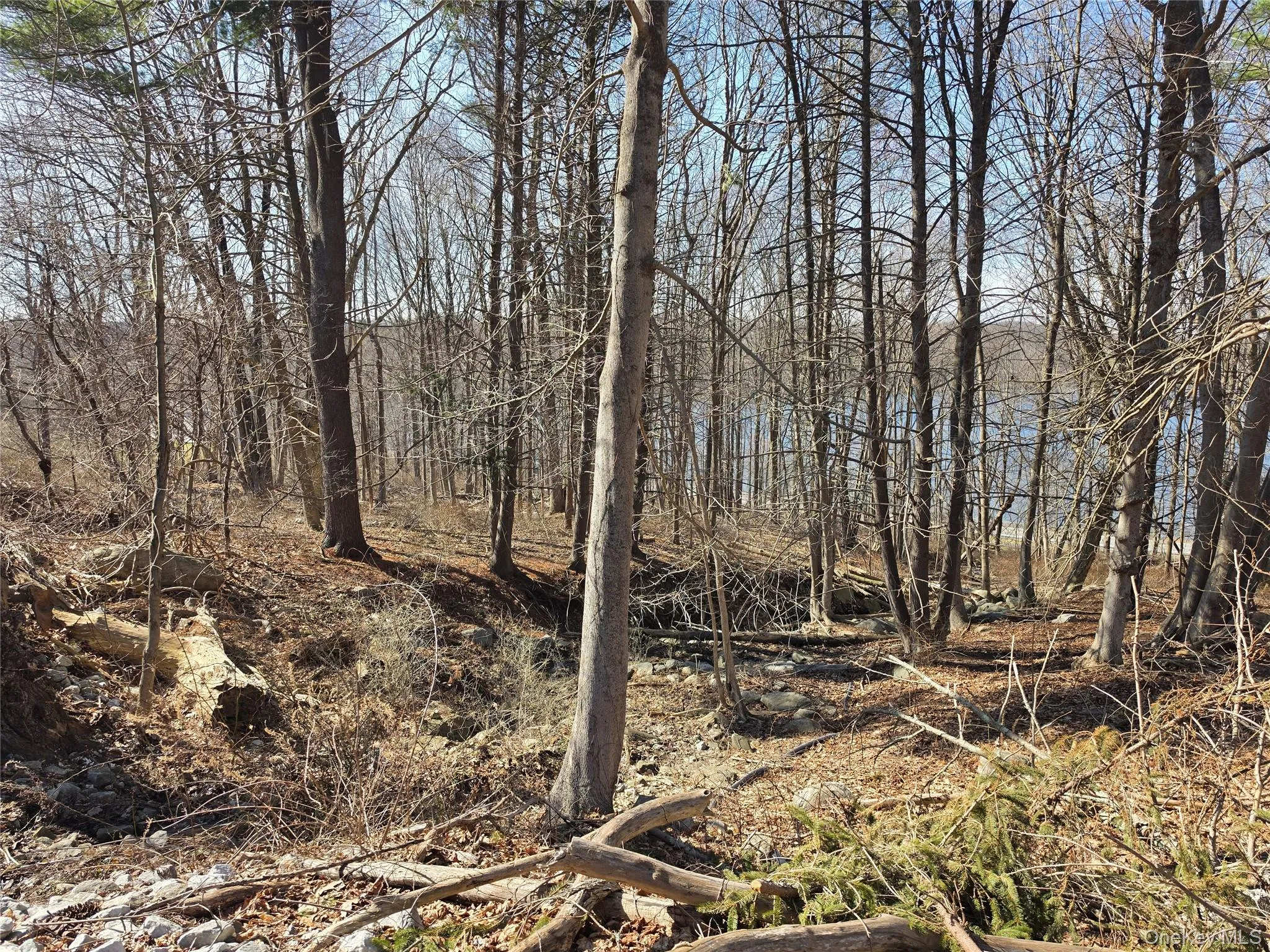 6 Willow Road, Carmel, NY, ,Land,For Rent,Willow,0,977553 6 Willow Road, Carmel, NY, ,Land,For Rent,Willow,0,977553