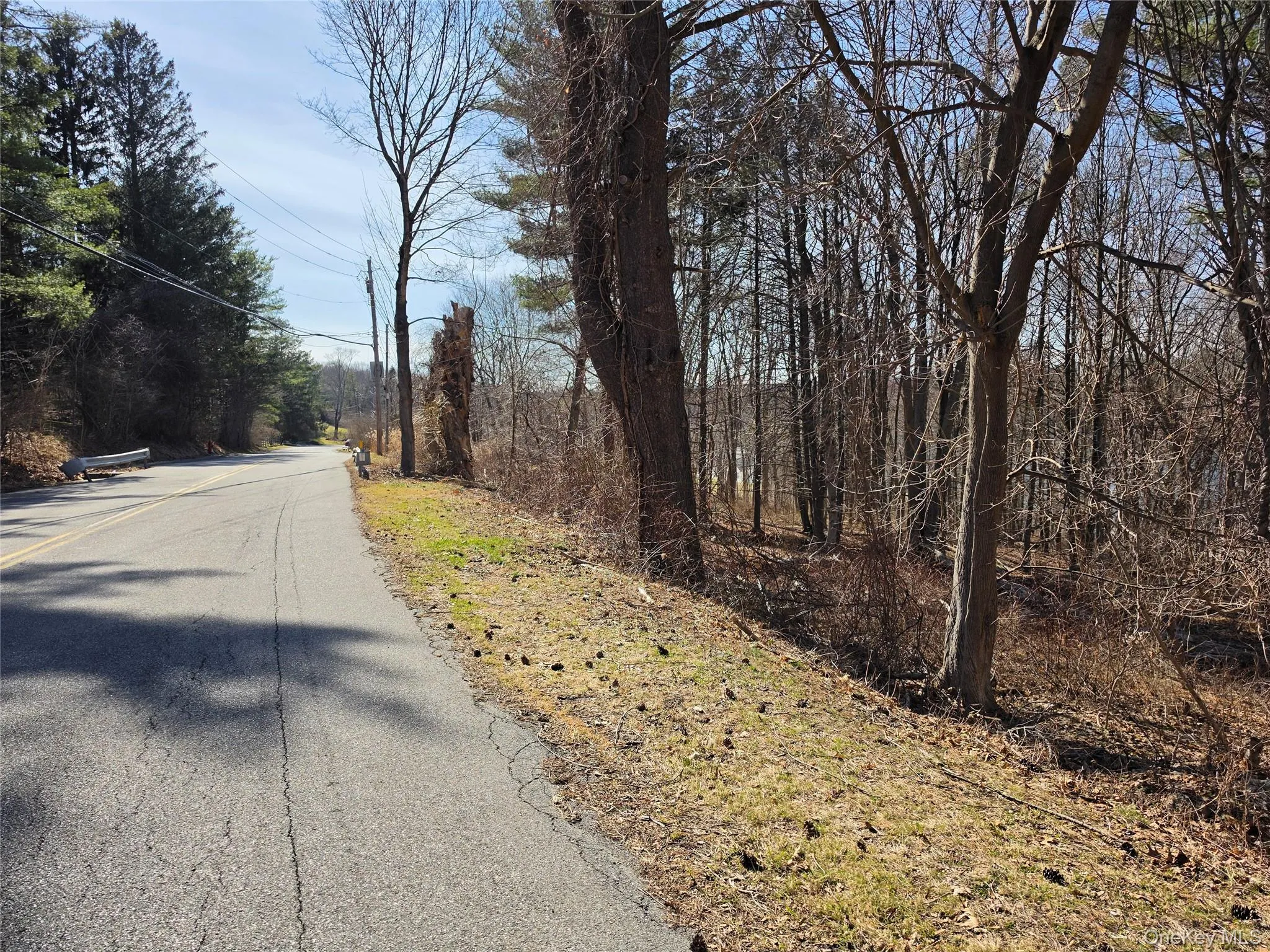 6 Willow Road, Carmel, NY, ,Land,For Rent,Willow,0,977553 6 Willow Road, Carmel, NY, ,Land,For Rent,Willow,0,977553