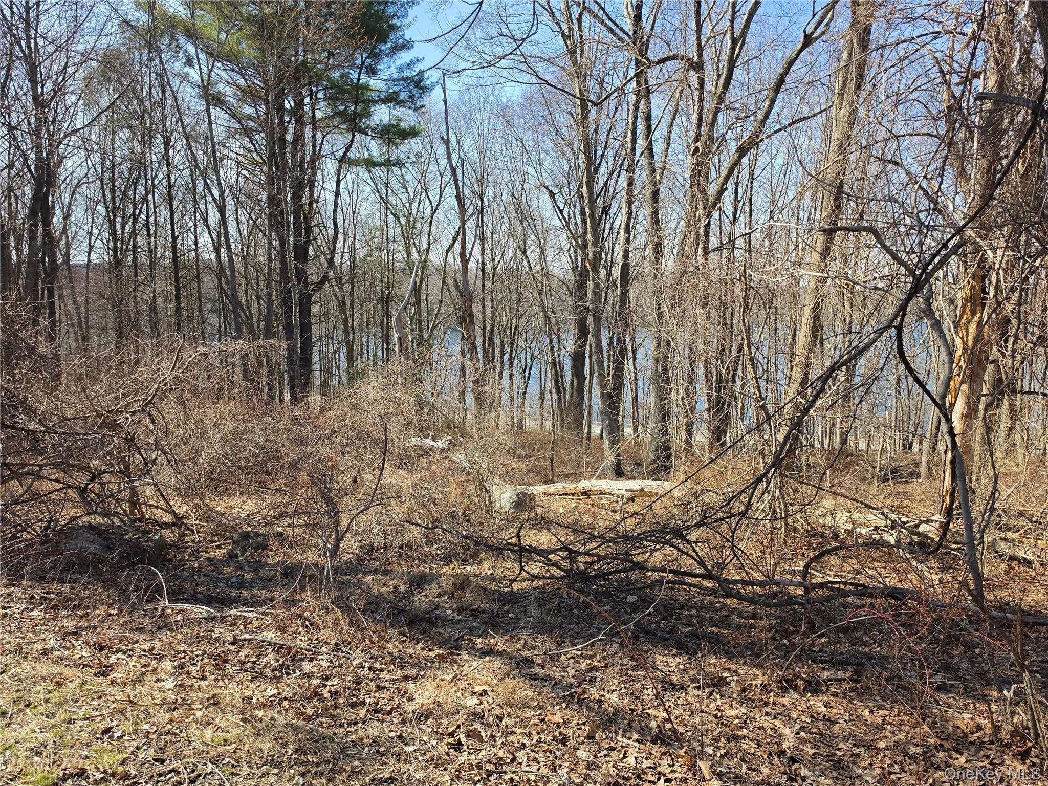 6 Willow Road, Carmel, NY, ,Land,For Rent,Willow,0,977553 6 Willow Road, Carmel, NY, ,Land,For Rent,Willow,0,977553