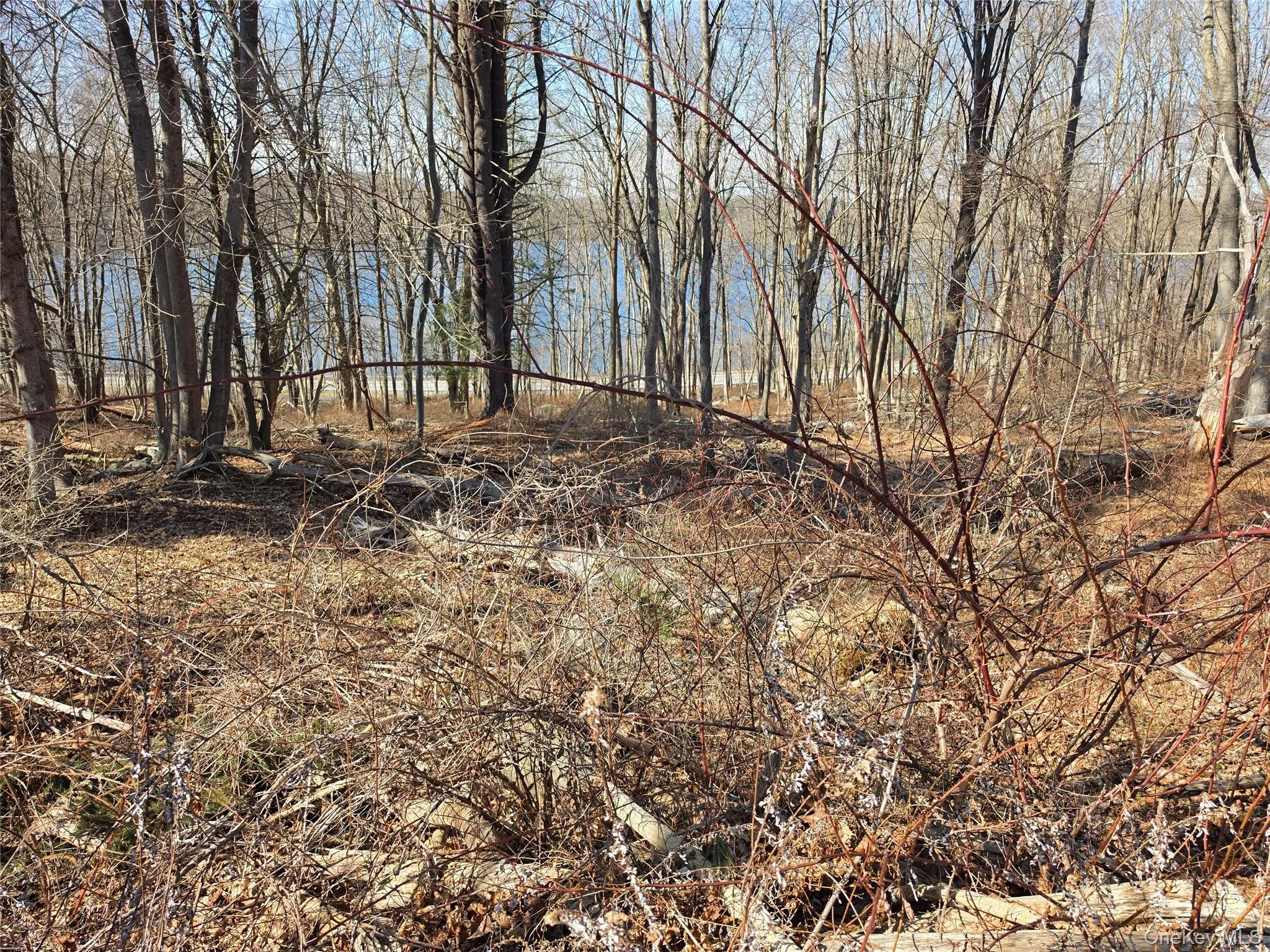 6 Willow Road, Carmel, NY, ,Land,For Rent,Willow,0,977553 6 Willow Road, Carmel, NY, ,Land,For Rent,Willow,0,977553