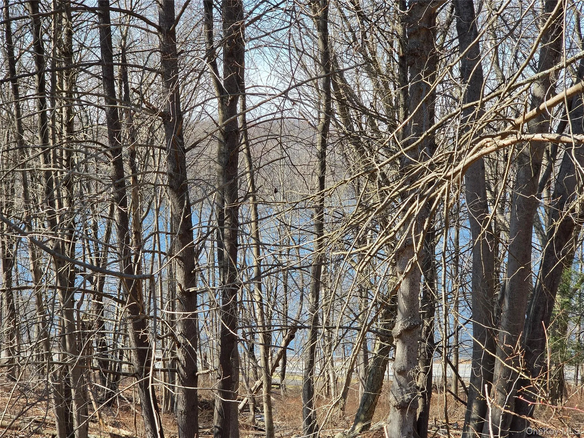 View form the property. View form the property.