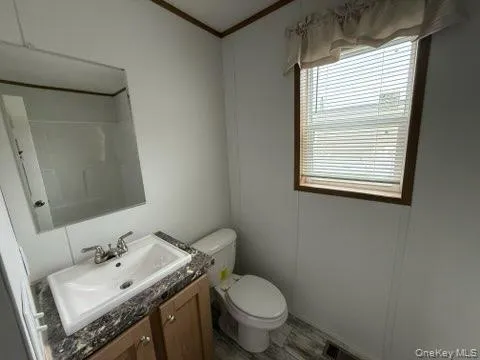 Bathroom with crown molding, toilet, and vanity Bathroom with crown molding, toilet, and vanity