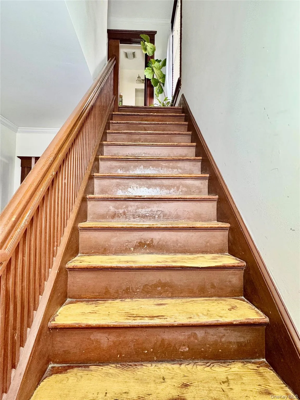 217-219 Highland Avenue, Middletown, NY, 3 Bedrooms Bedrooms, 7 Rooms Rooms,2 BathroomsBathrooms,Residential Sale,For Rent,Highland,0,977631 217-219 Highland Avenue, Middletown, NY, 3 Bedrooms Bedrooms, 7 Rooms Rooms,2 BathroomsBathrooms,Residential Sale,For Rent,Highland,0,977631